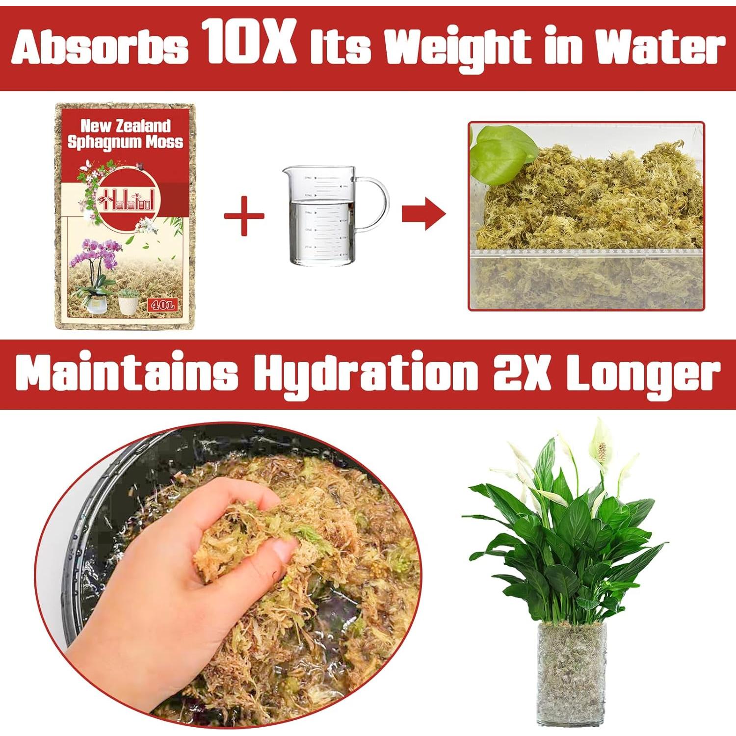 Musgo Sphagnum Halatool de Nueva Zelanda 100g para Jardinería