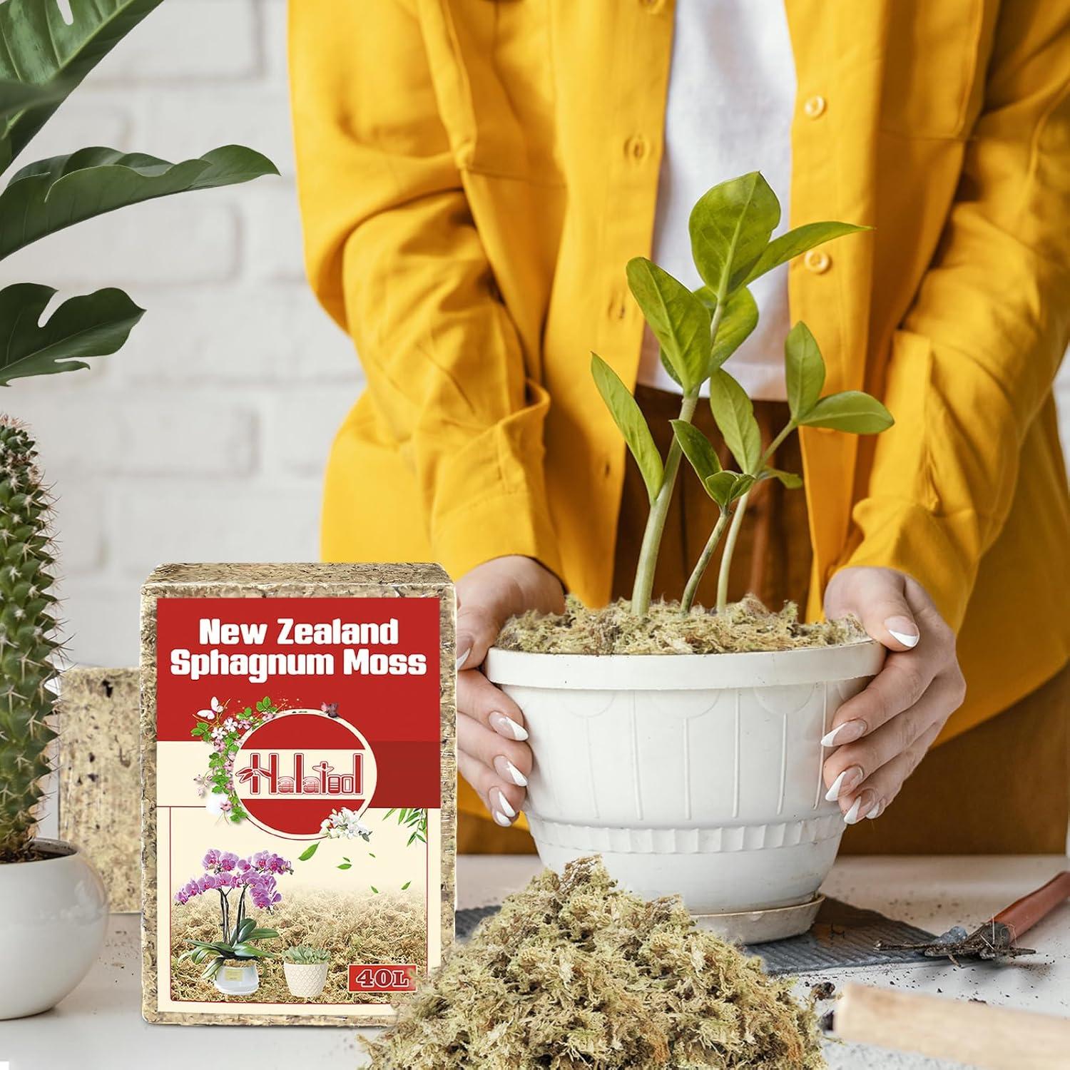 Musgo Sphagnum Halatool de Nueva Zelanda 100g para Jardinería