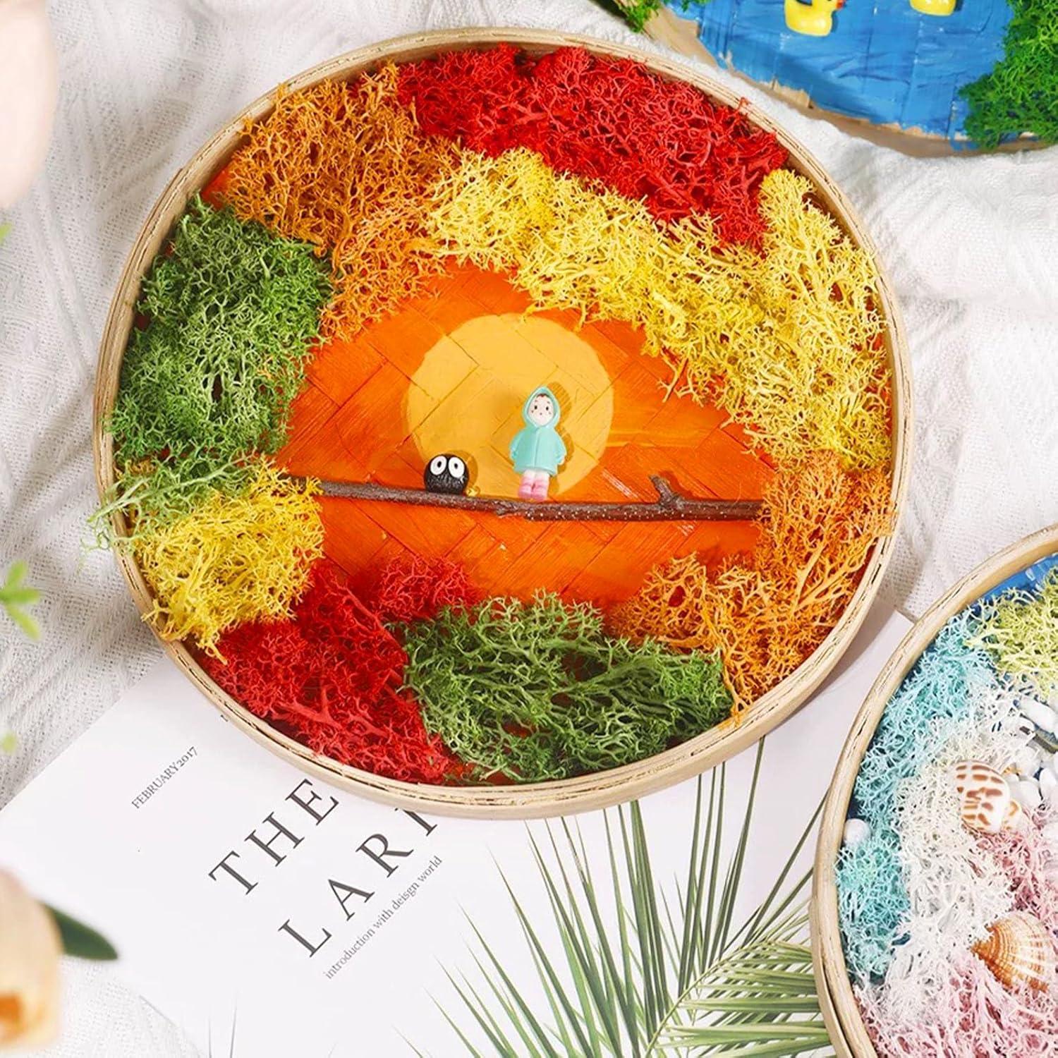 Kit de Jardín Zen Woohome DIY con Pintura de Musgo y Marco