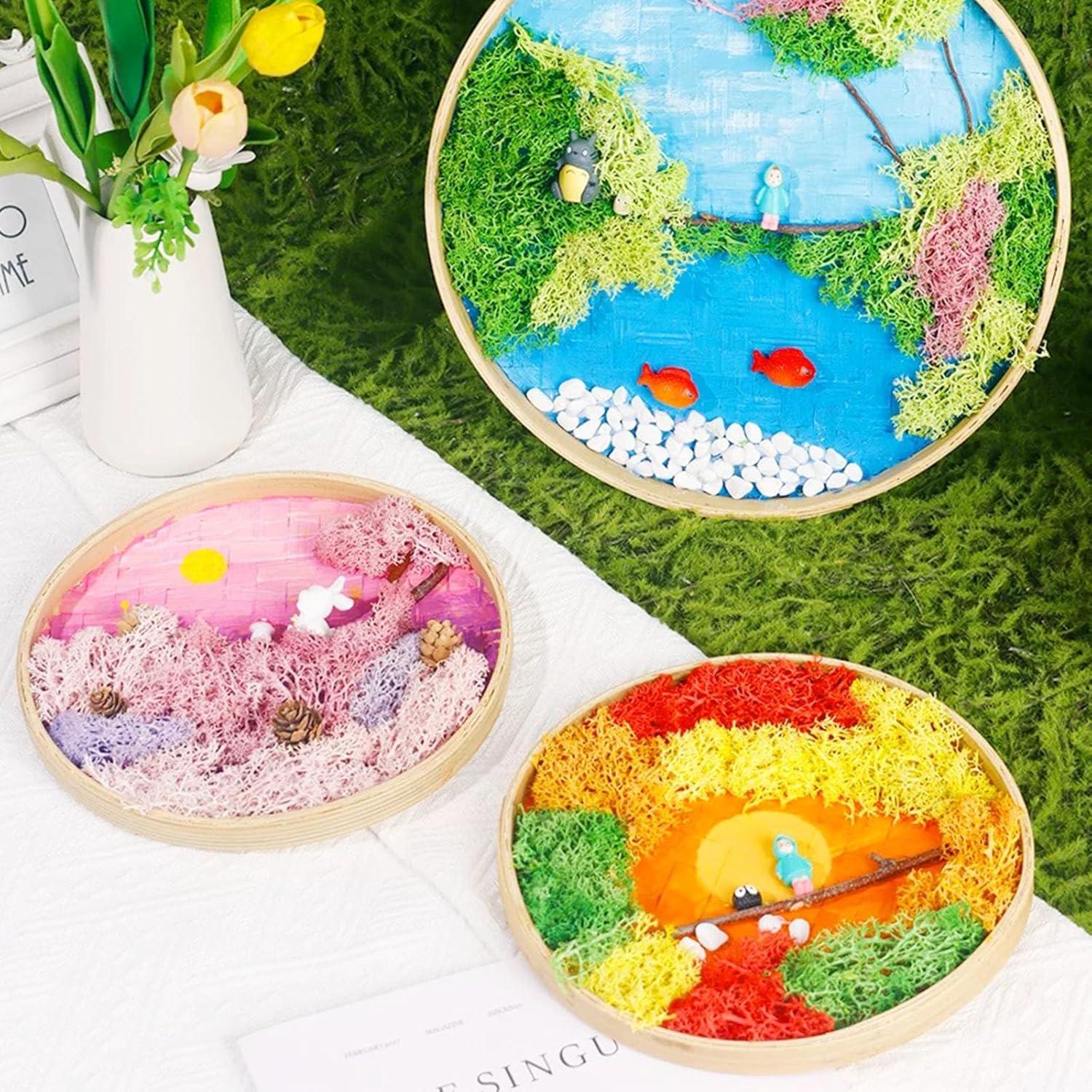 Kit de Jardín Zen Woohome DIY con Pintura de Musgo y Marco