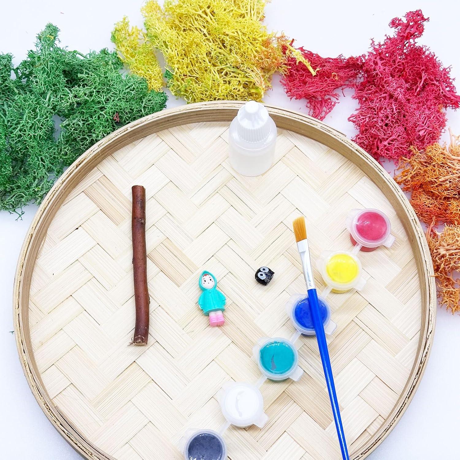 Kit de Jardín Zen Woohome DIY con Pintura de Musgo y Marco