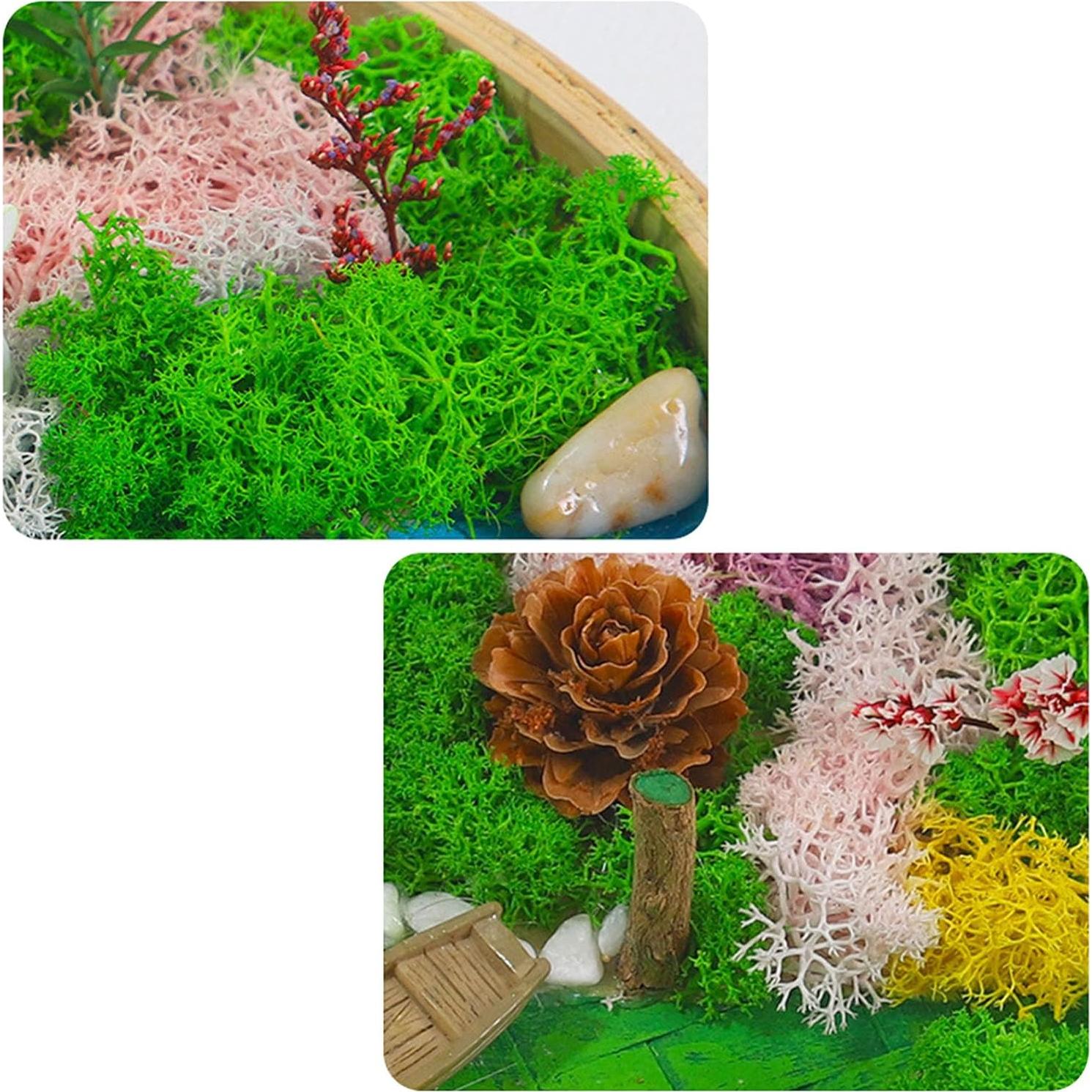 Kit de Jardín Zen Woohome DIY con Pintura de Musgo y Marco