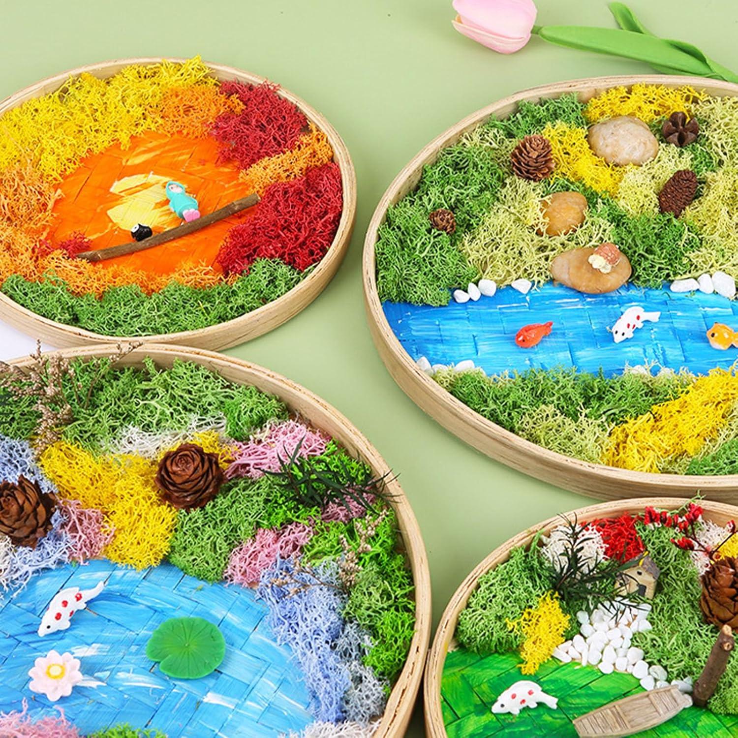 Kit de Jardín Zen Woohome DIY con Pintura de Musgo y Marco