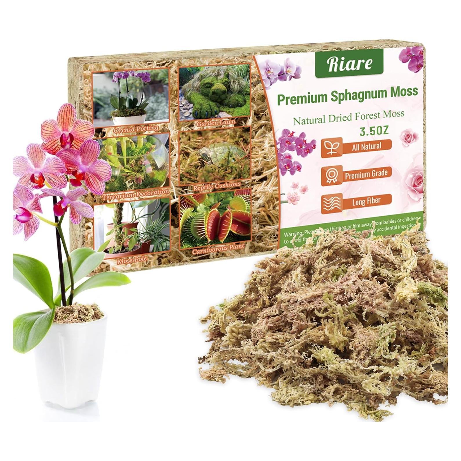 Musgo Sphagnum Premium Riare 100 g para Plantas y Terrarios