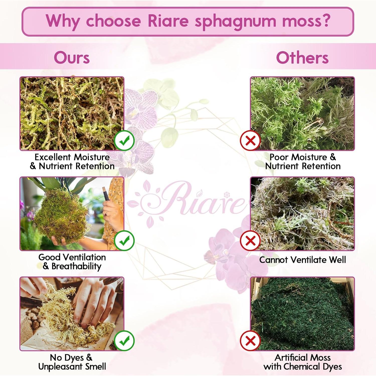 Musgo Sphagnum Premium Riare 100 g para Plantas y Terrarios