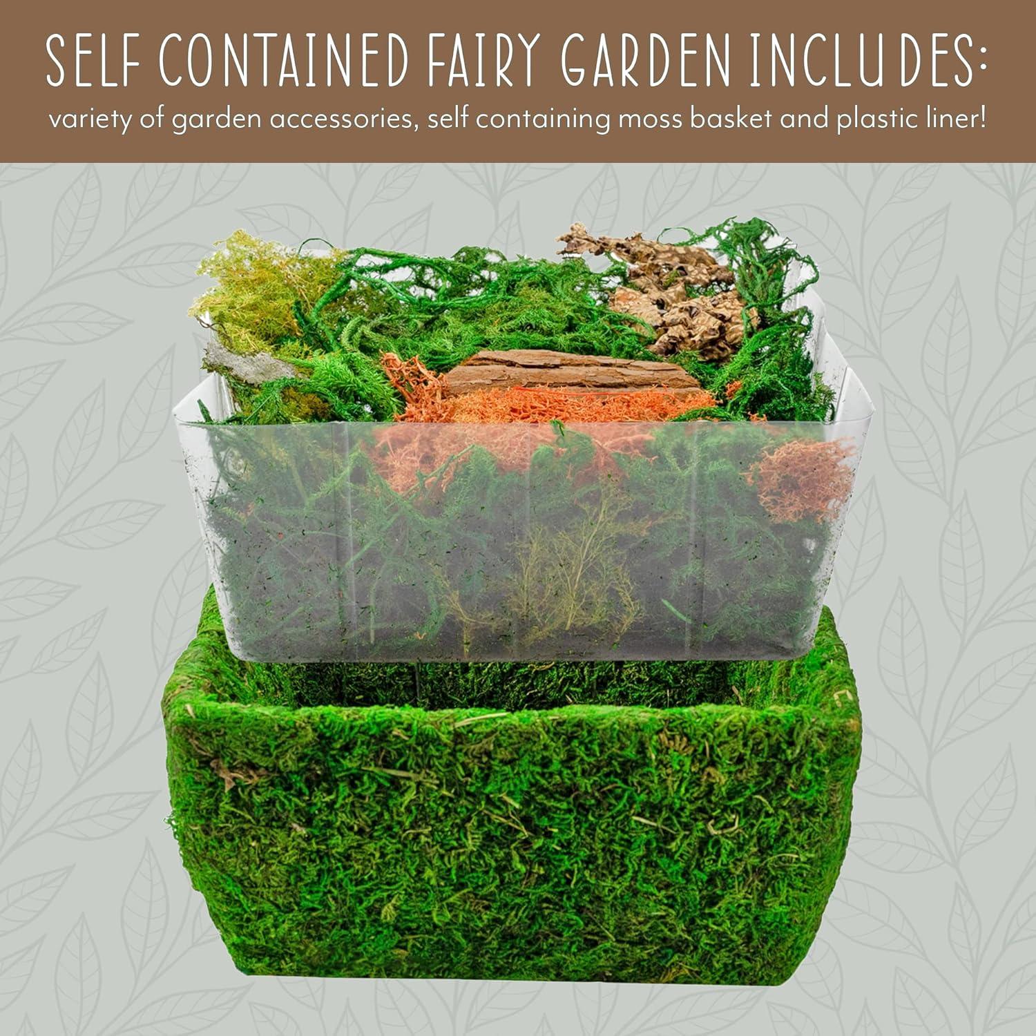 Kit de Terrario de Jardín de Hadas Esterno 25.4x24.1cm