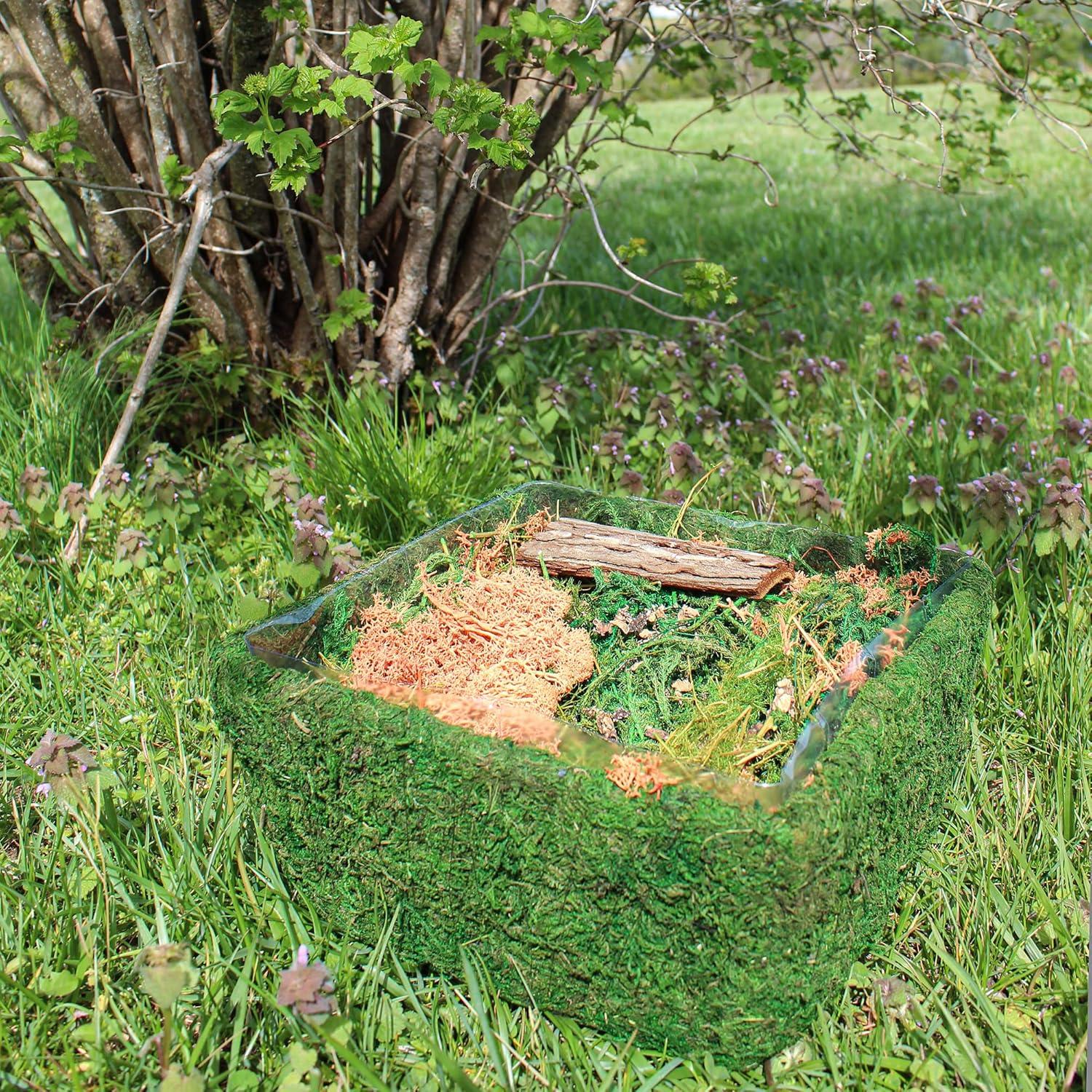 Kit de Terrario de Jardín de Hadas Esterno 25.4x24.1cm