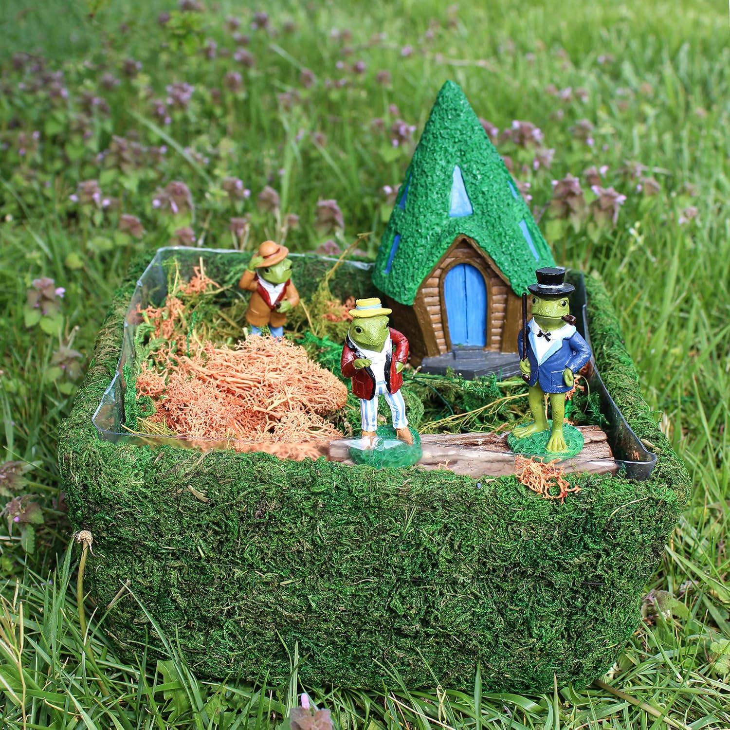 Kit de Terrario de Jardín de Hadas Esterno 25.4x24.1cm