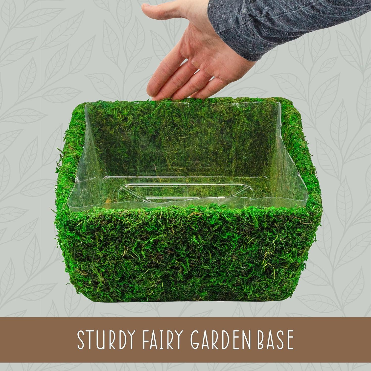 Kit de Terrario de Jardín de Hadas Esterno 25.4x24.1cm