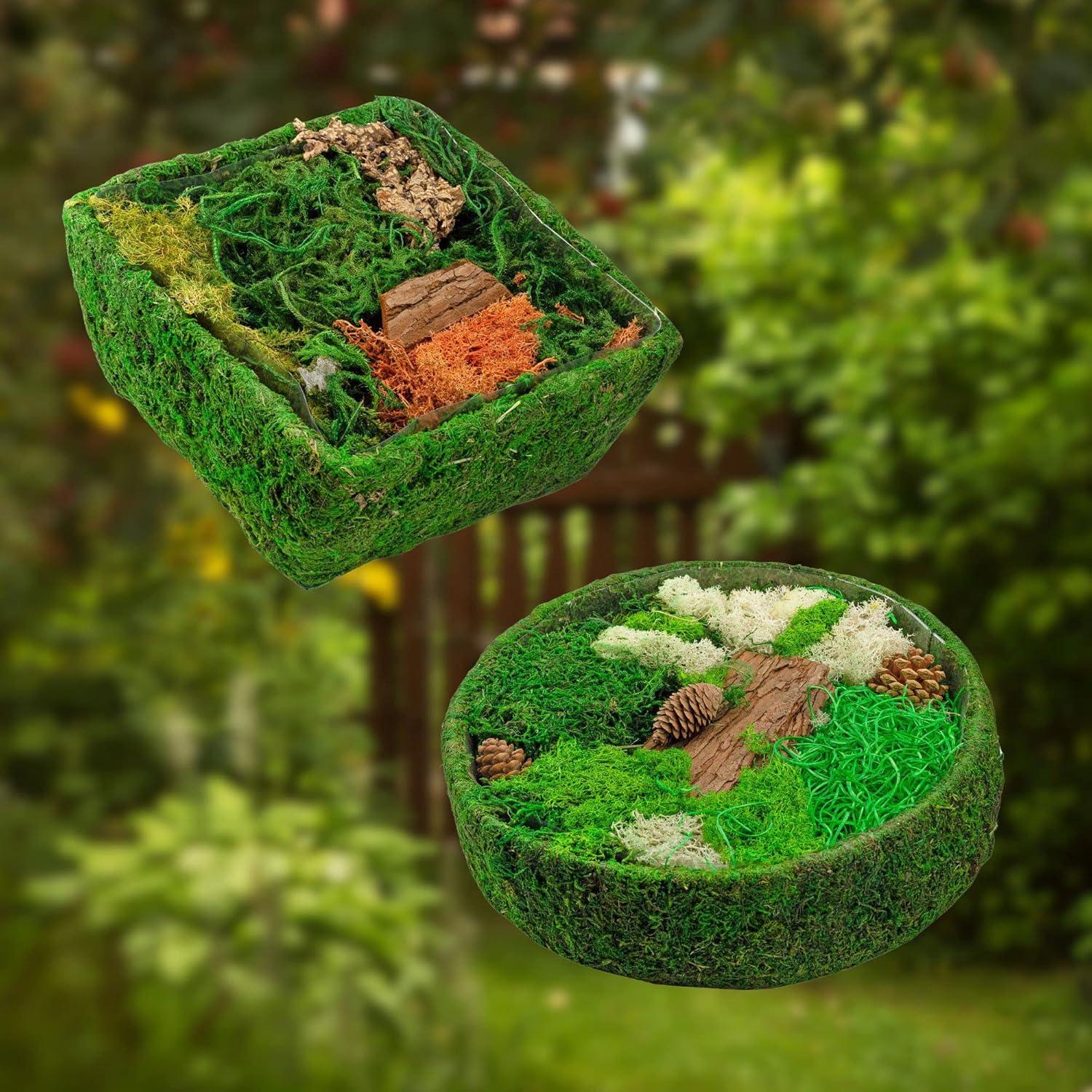 Kit de Terrario de Jardín de Hadas Esterno 25.4x24.1cm