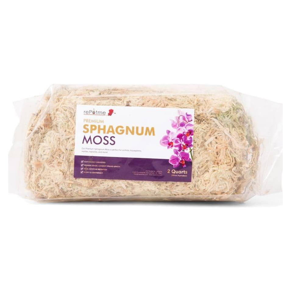Musgo Sphagnum Orgánico Premium rePotme - 2 Cuartos para Orquídeas