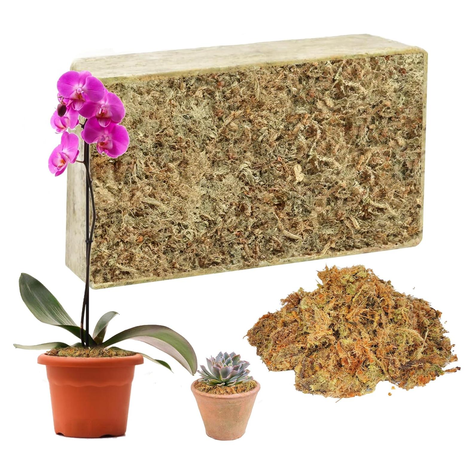 Musgo Sphagnum Natural 150 g Hourleey para Plantas
