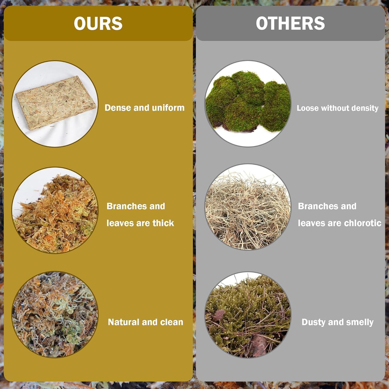 Musgo Sphagnum Natural 150 g Hourleey para Plantas