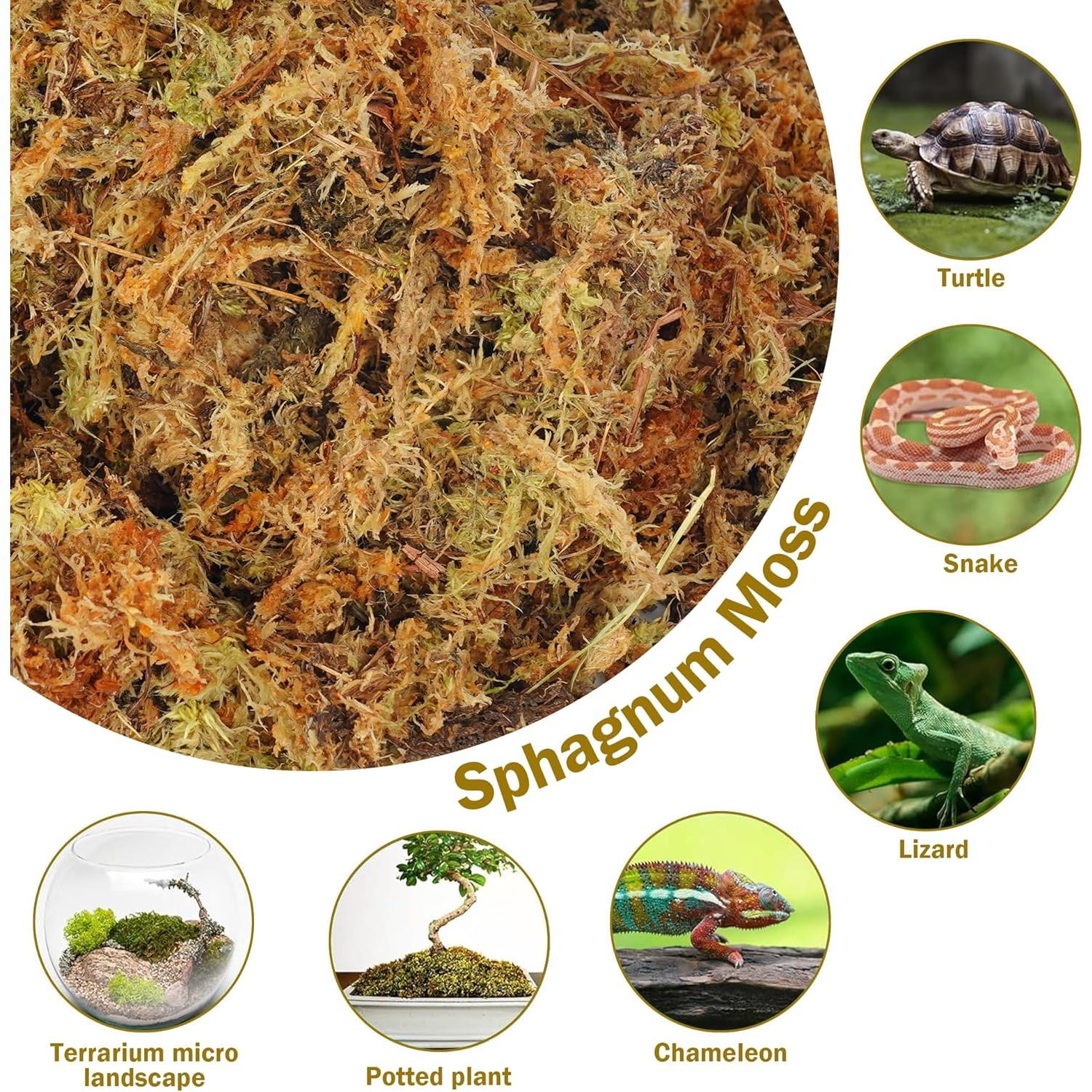 Musgo Sphagnum Natural 150 g Hourleey para Plantas