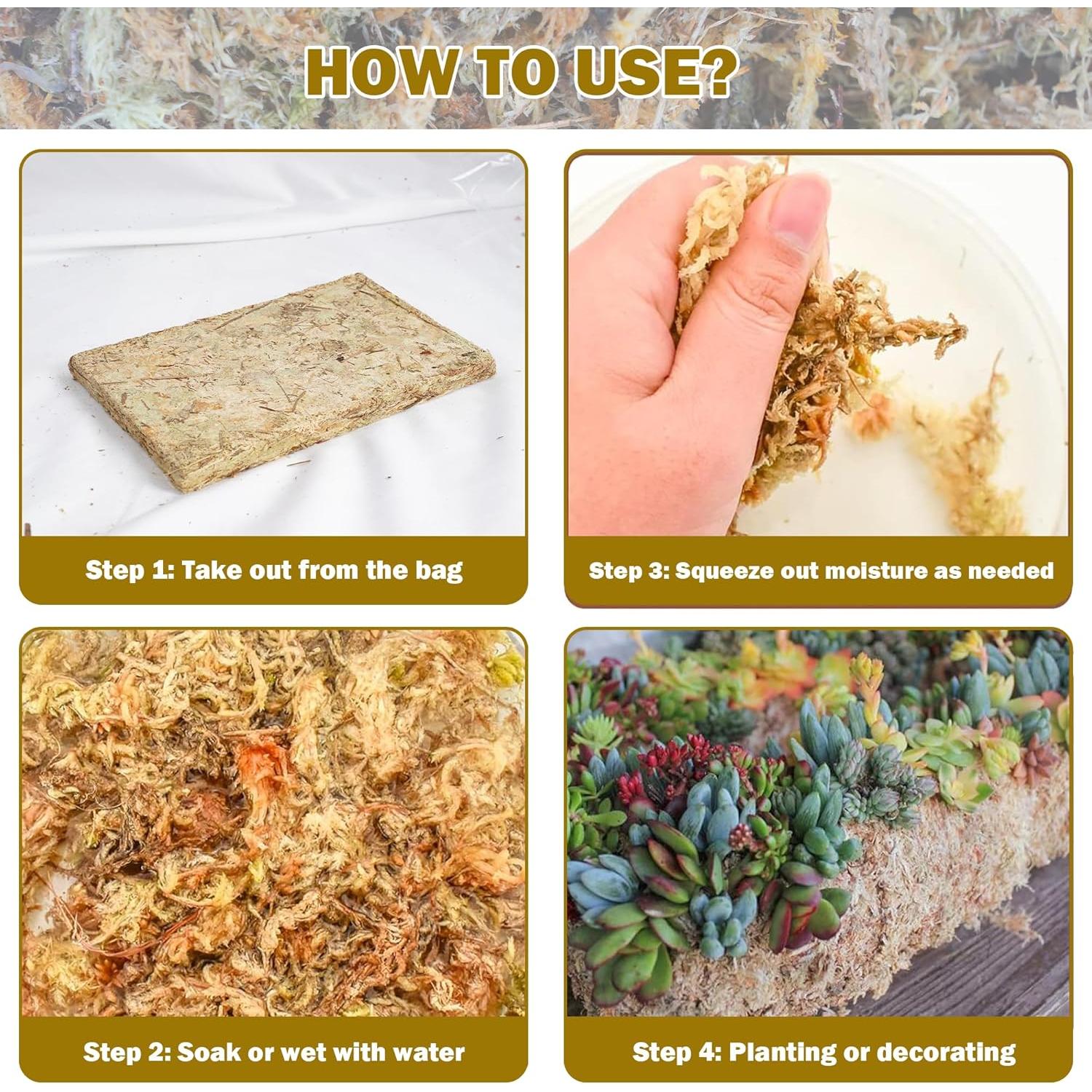 Musgo Sphagnum Natural 150 g Hourleey para Plantas