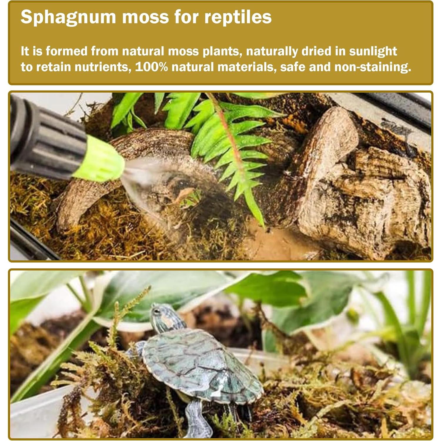 Musgo Sphagnum Natural 150 g Hourleey para Plantas