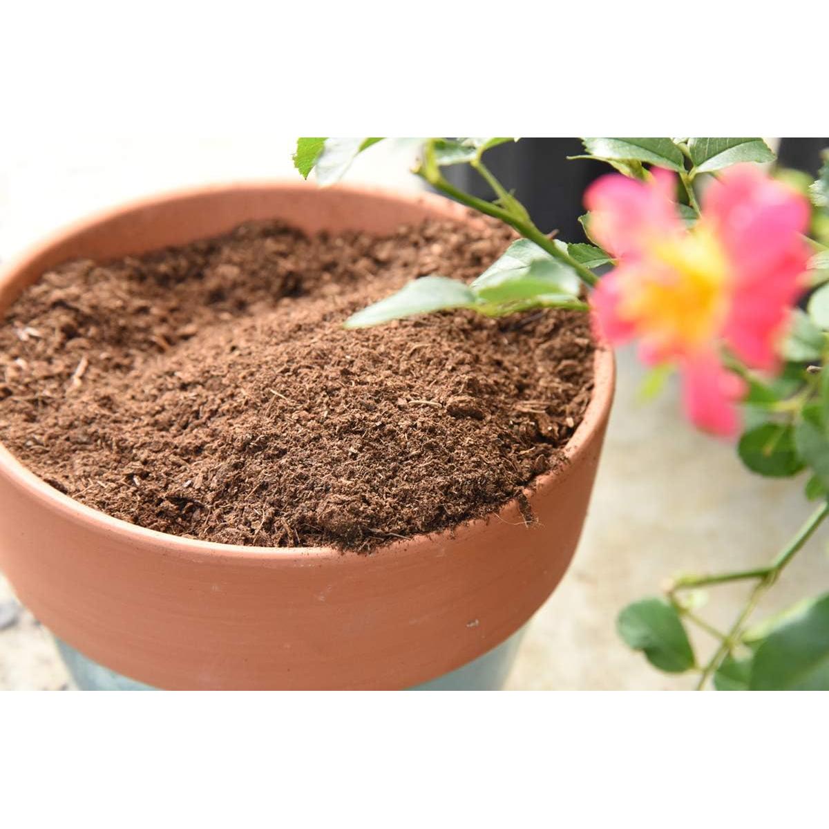 Musgo de Turba Orgánico Plantas Perfectas 7.57L Aditivo Suelo