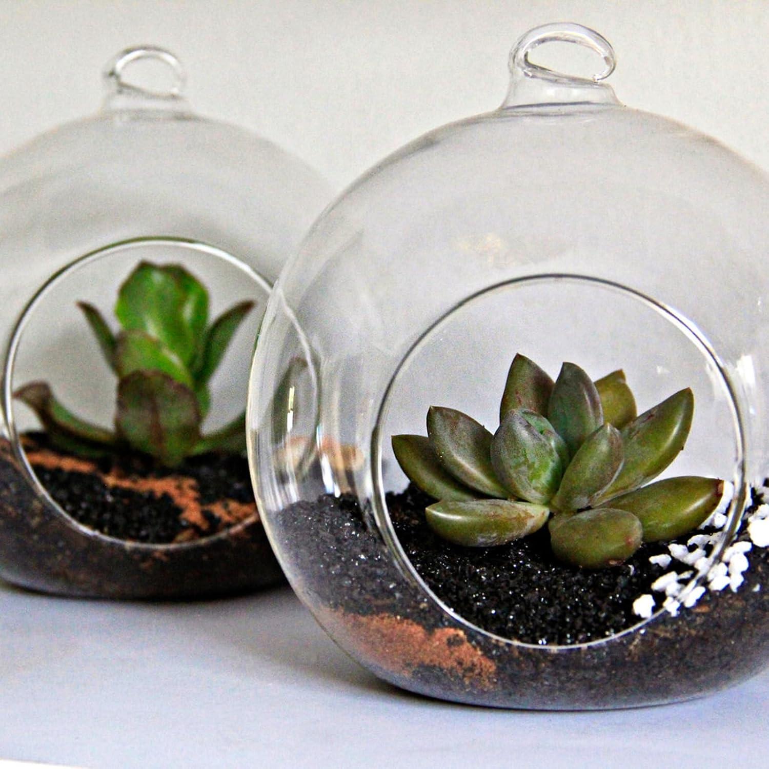 Rocas de Lava Negra TOPZEA 5.44 kg para Jardinería y Macetas