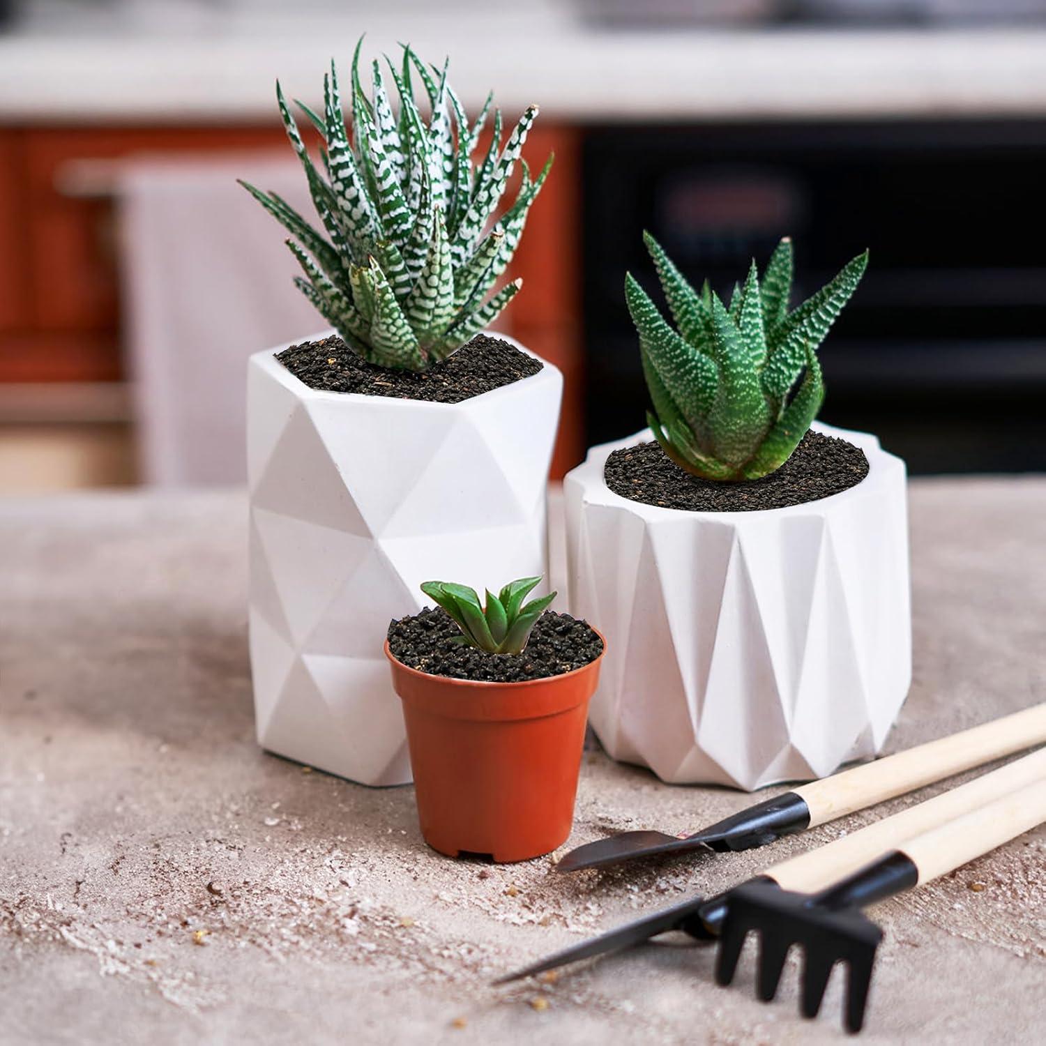 Rocas de Lava Negra TOPZEA 5.44 kg para Jardinería y Macetas