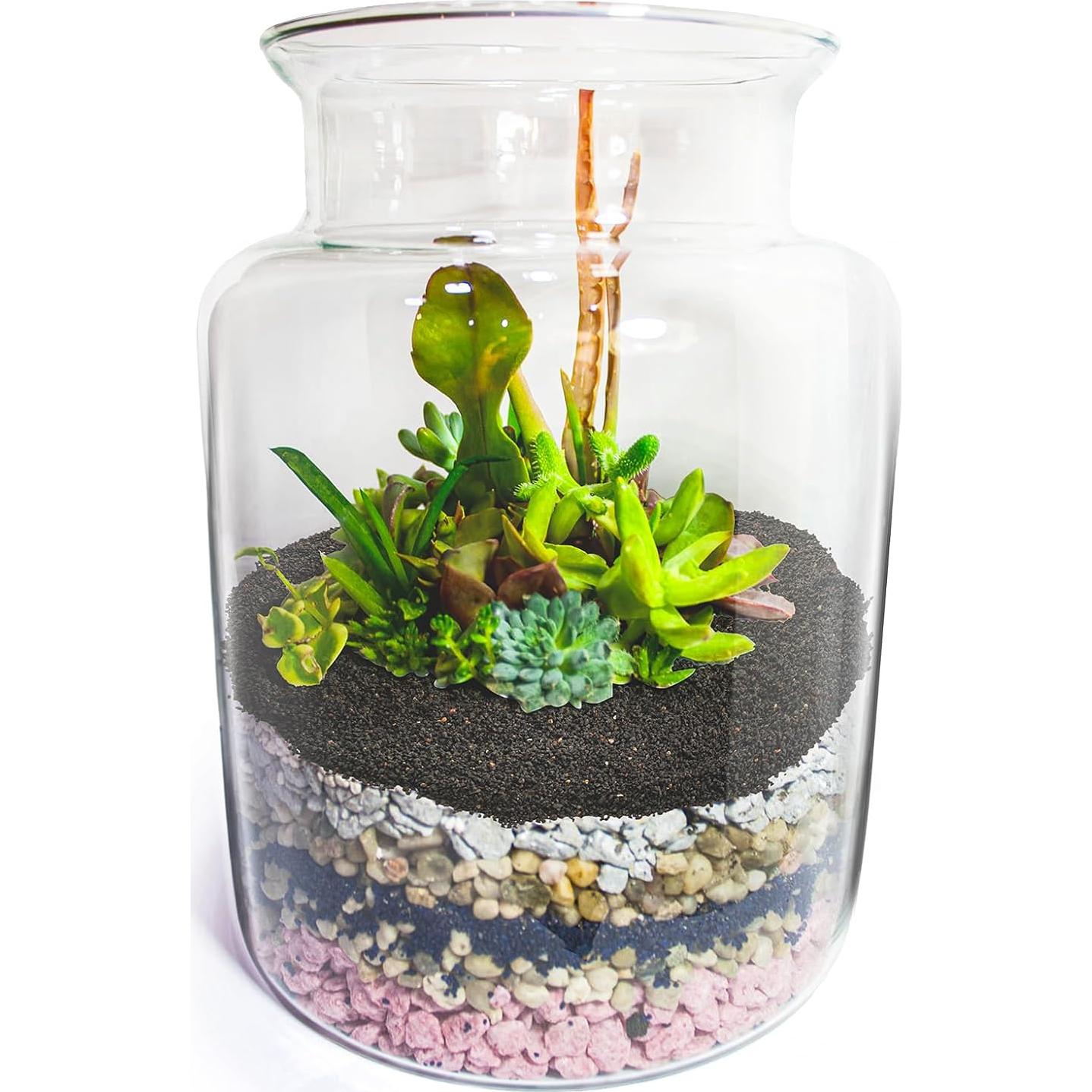 Rocas de Lava Negra TOPZEA 5.44 kg para Jardinería y Macetas