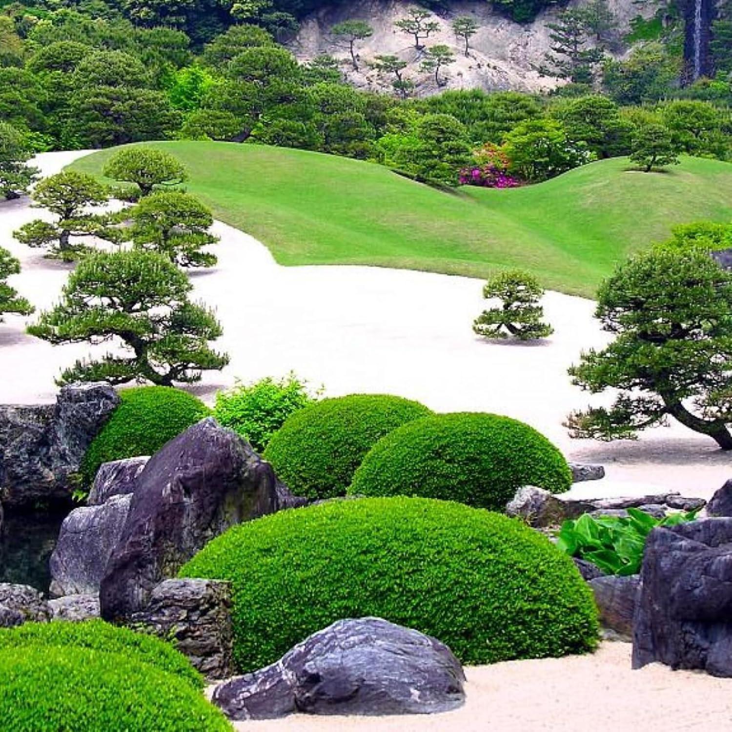 Arena Blanca Natural 2.27 kg para Caja de Arena y Decoración