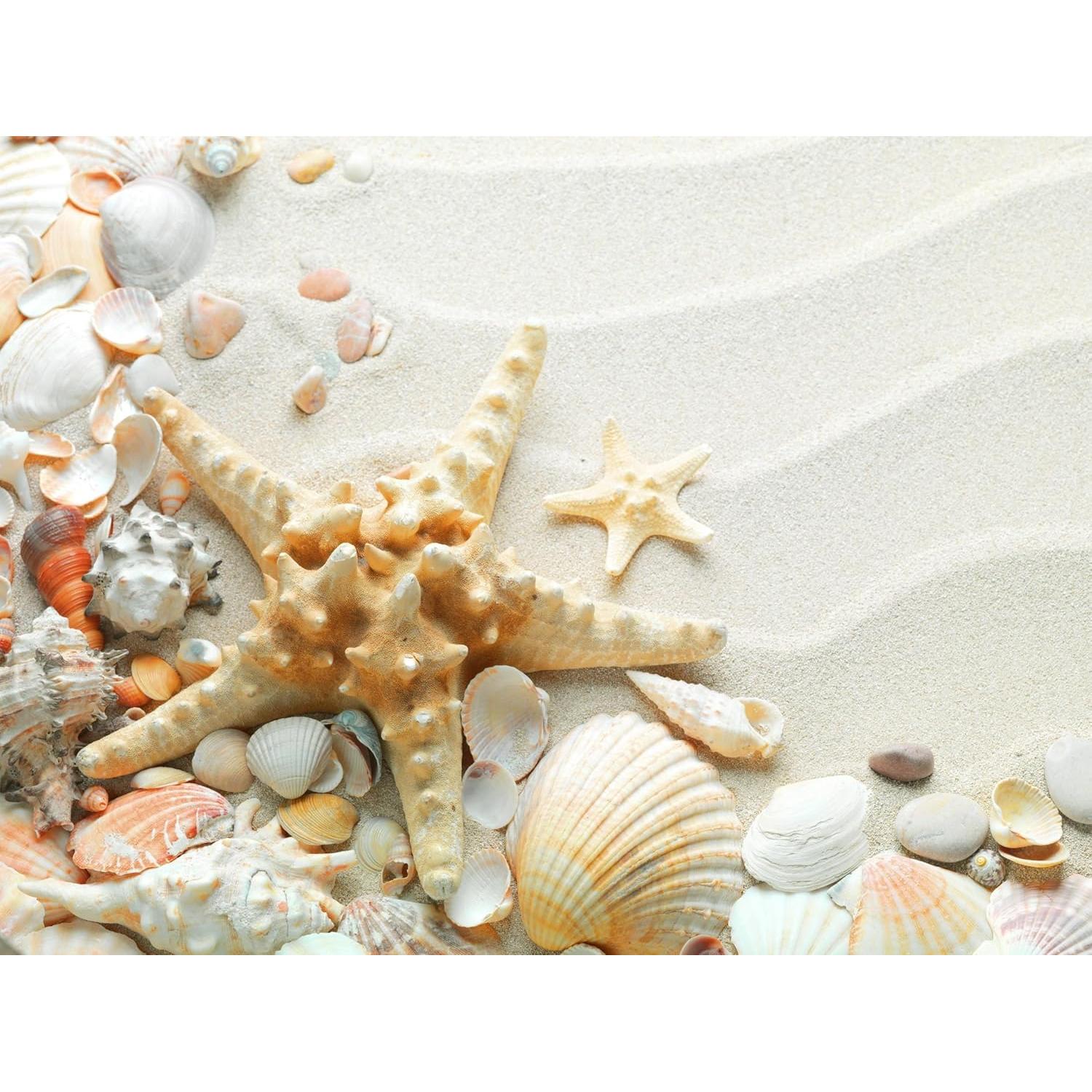 Arena Blanca Natural 2.27 kg para Caja de Arena y Decoración