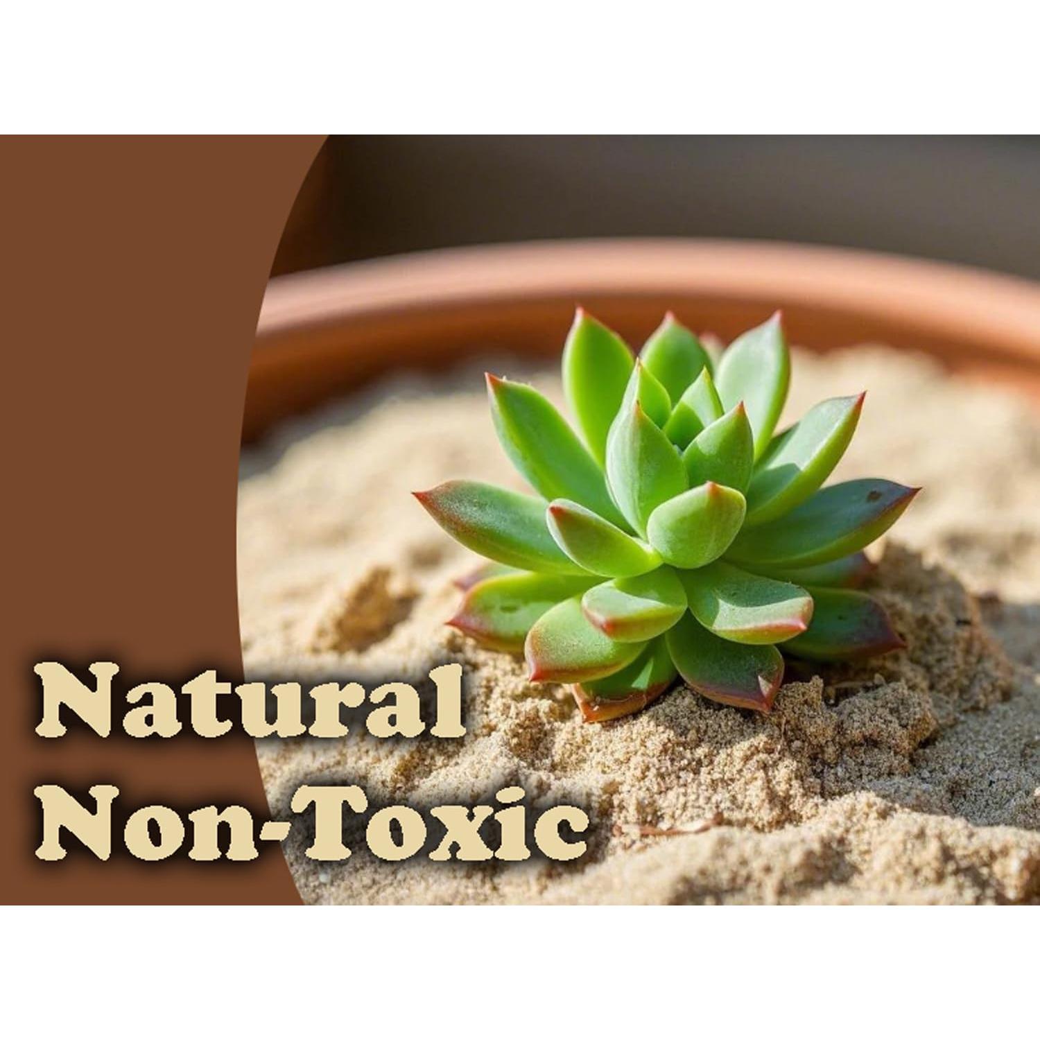 Arena Natural 1.13 kg Genérica - Gris Claro para Manualidades