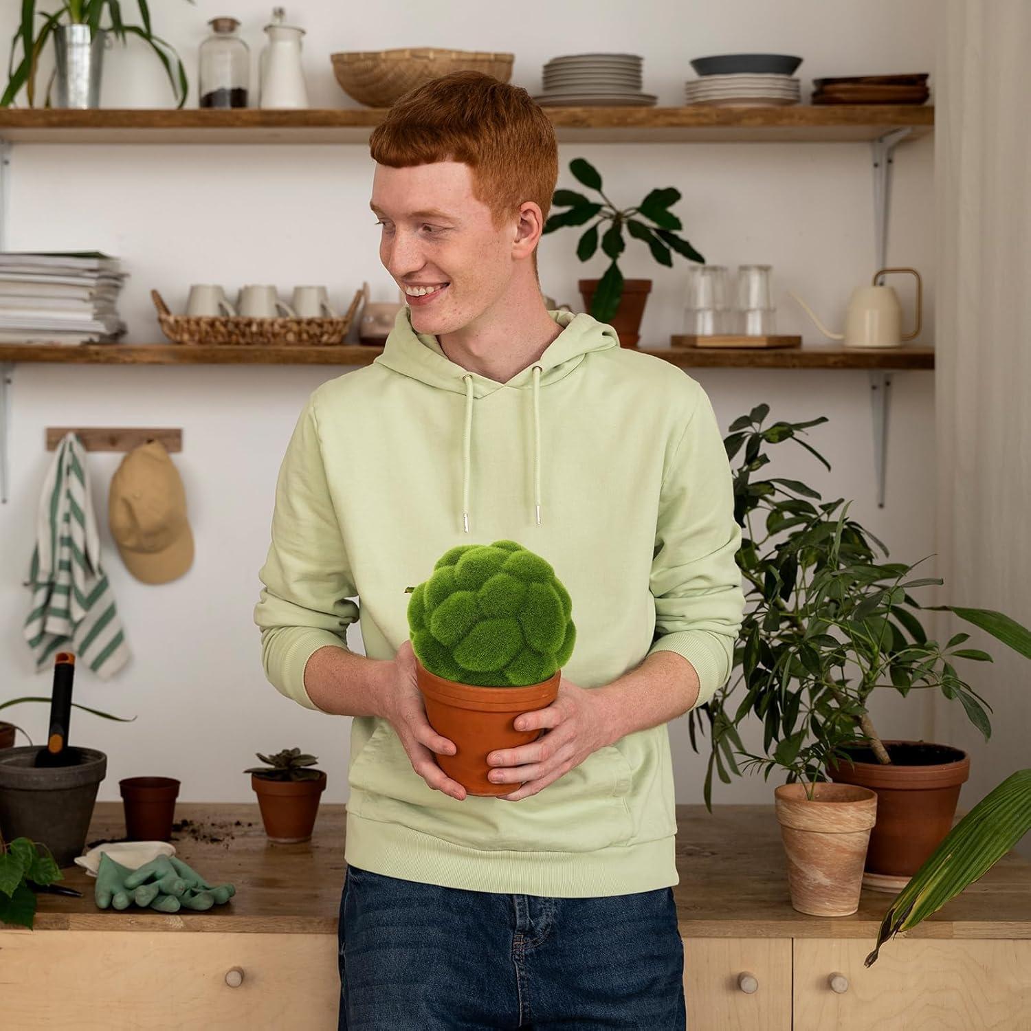 Bolas de Musgo Decorativas TUESMEILL 10.16cm y 11.94cm 2pcs