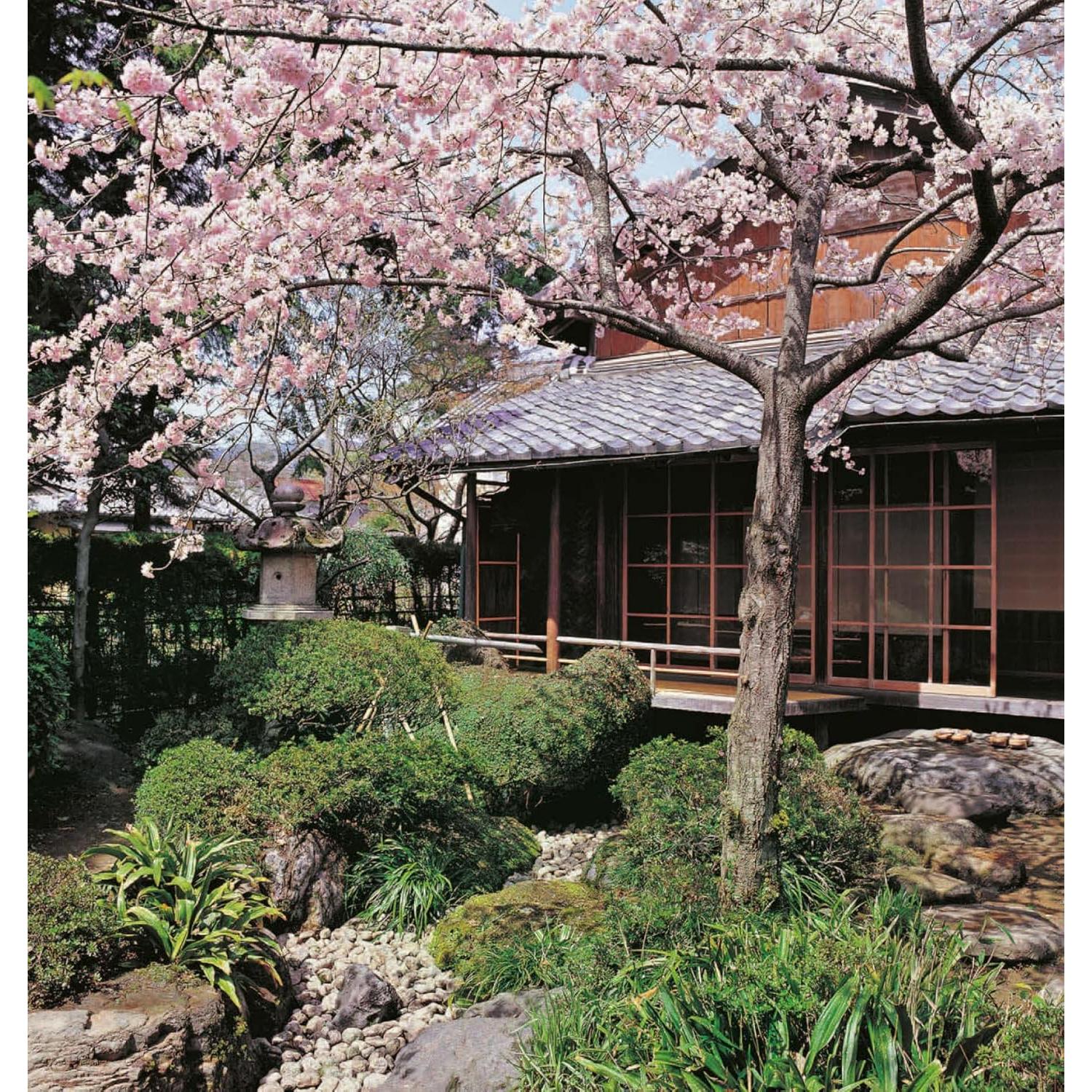 Japanese Gardens: Tranquility, Simplicity, Harmony