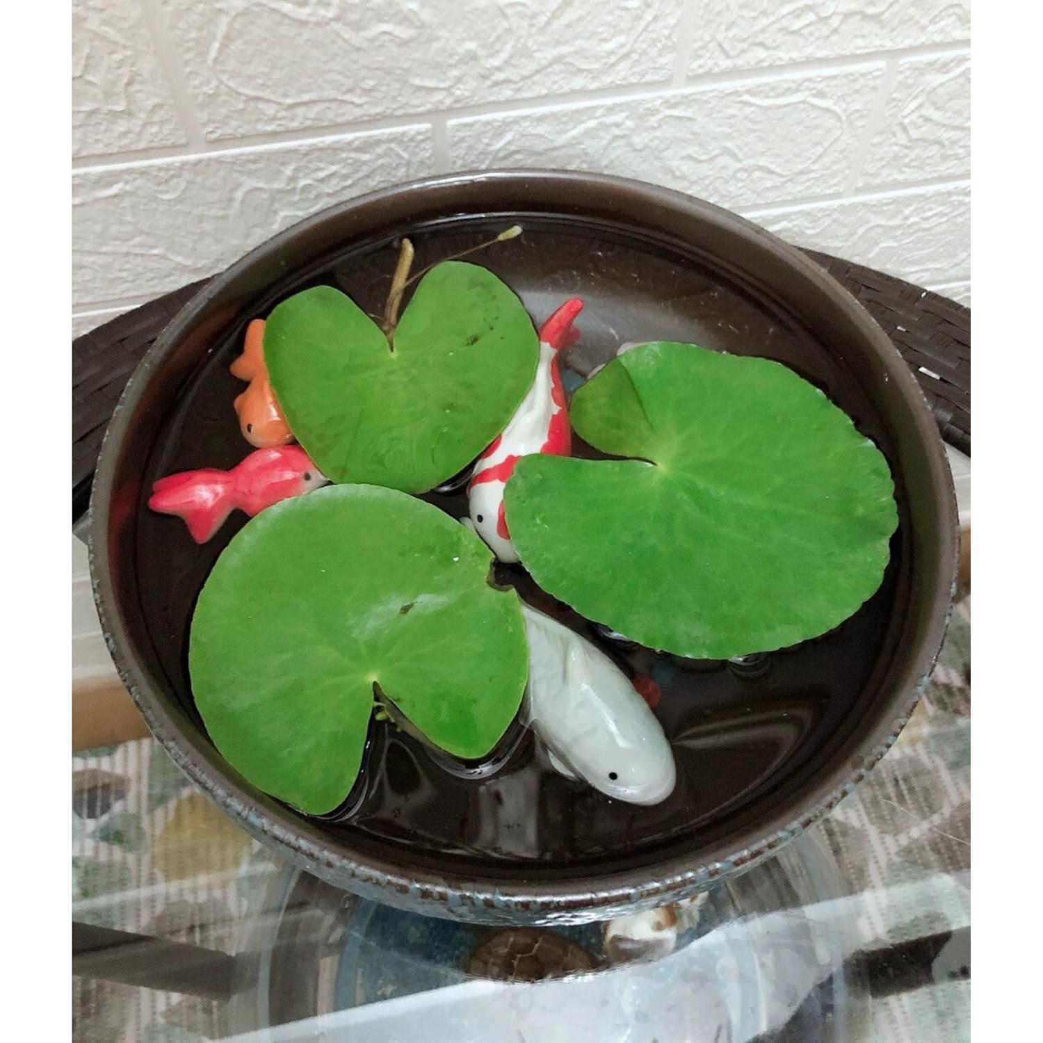 Pez Koi Flotante de Cerámica JINYEAH - 2 Piezas 10x4 cm