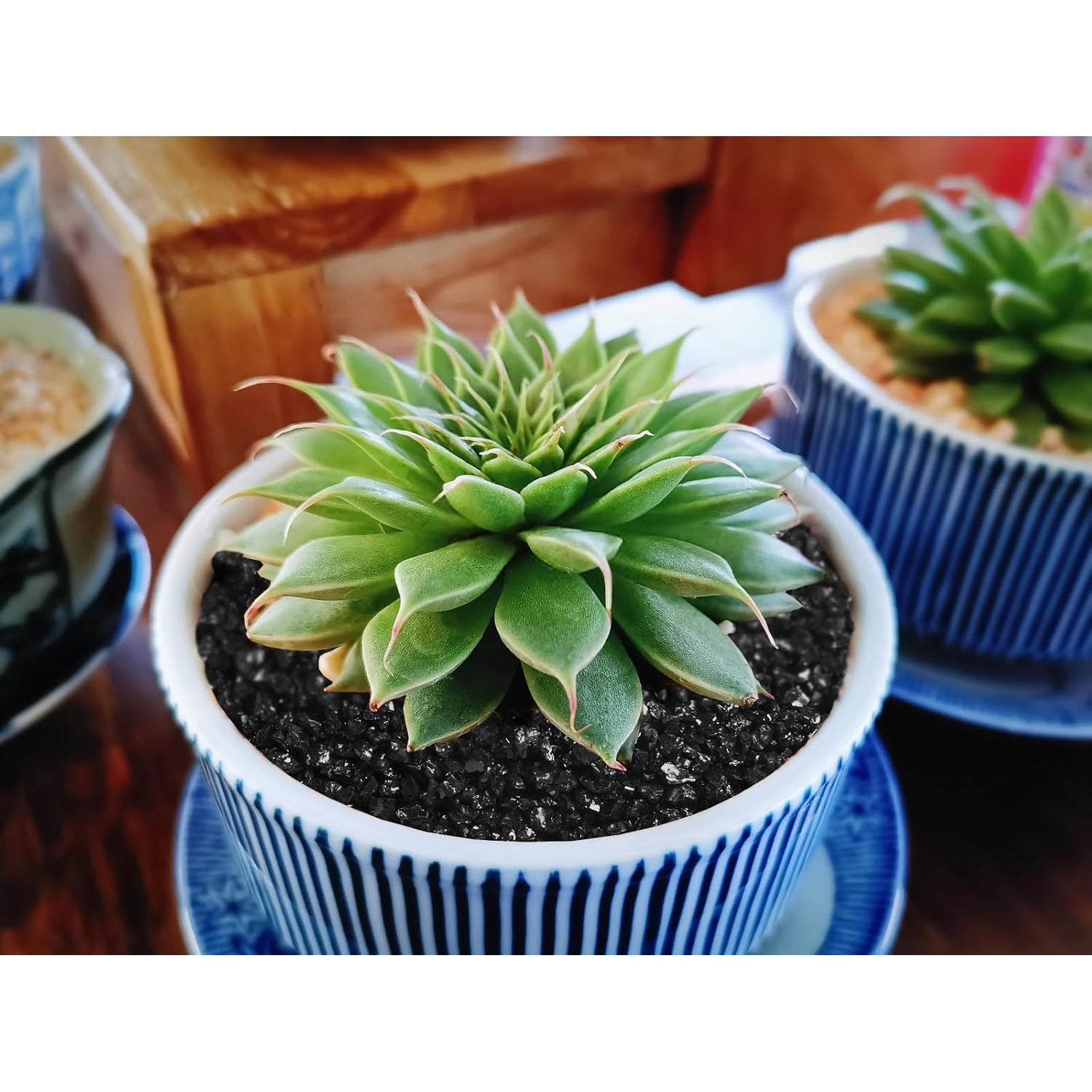 Grava Negra para Jardinería Boniosz 1.09kg 2-3mm Decoración