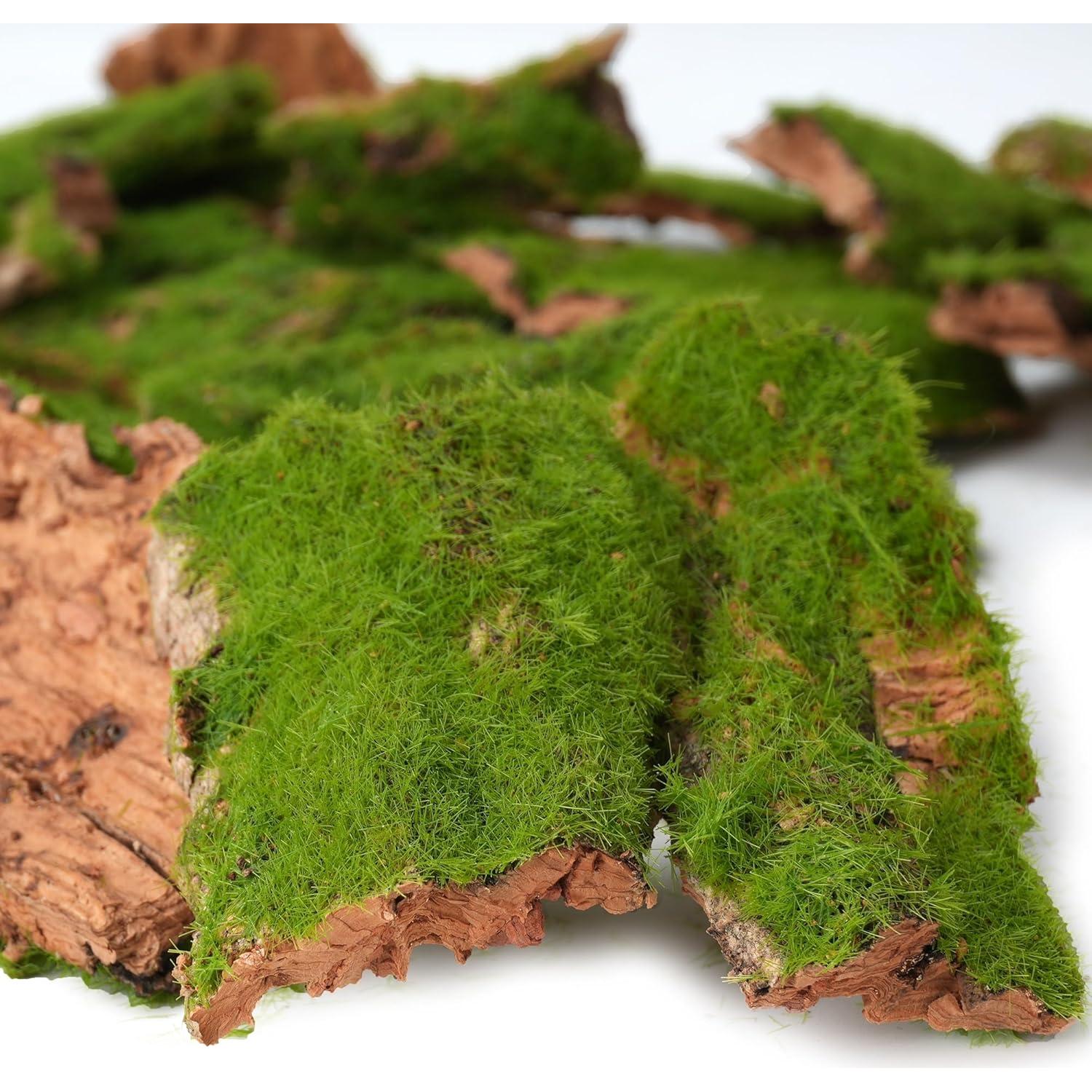 Corteza Artificial con Musgo BYHER - 100g para Manualidades