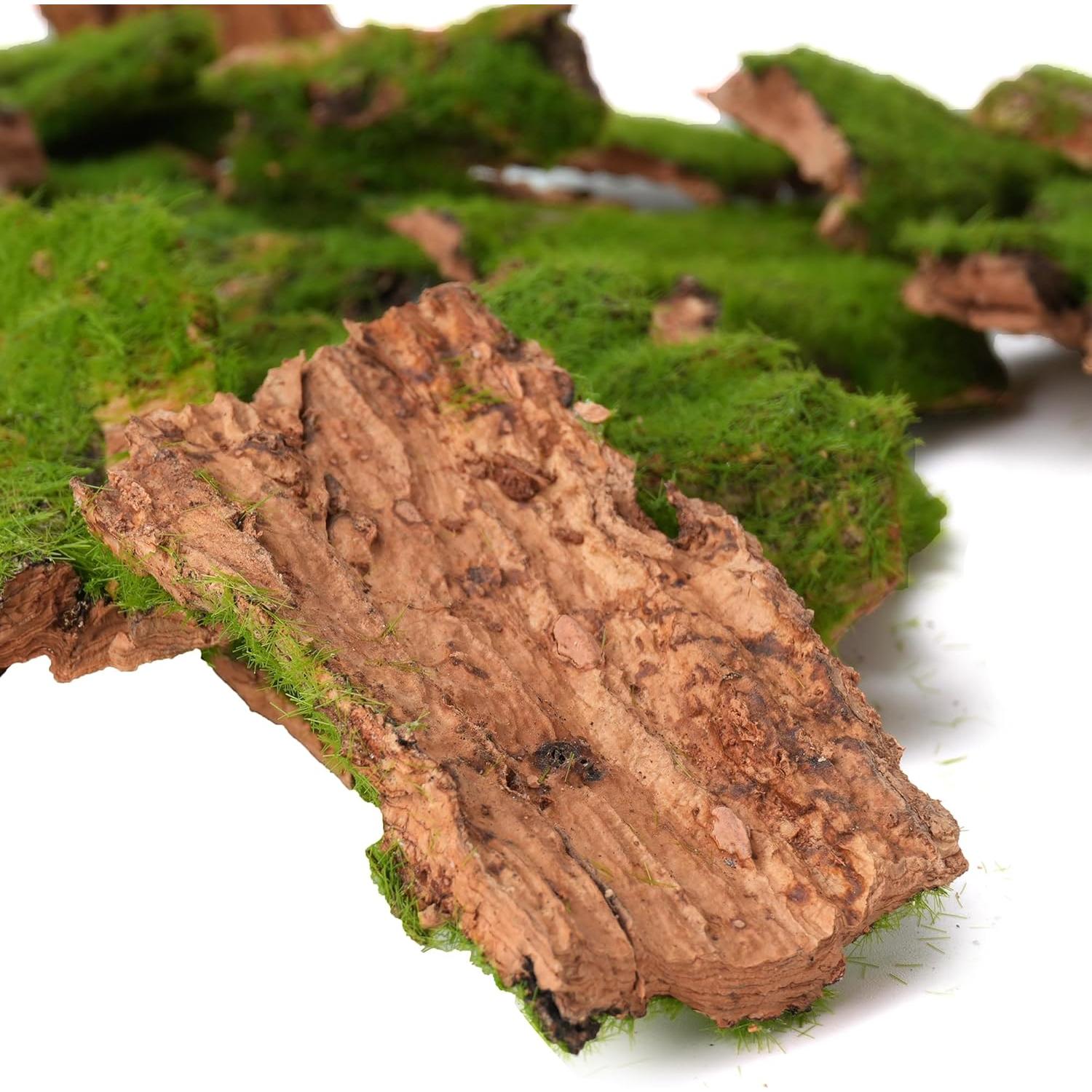 Corteza Artificial con Musgo BYHER - 100g para Manualidades