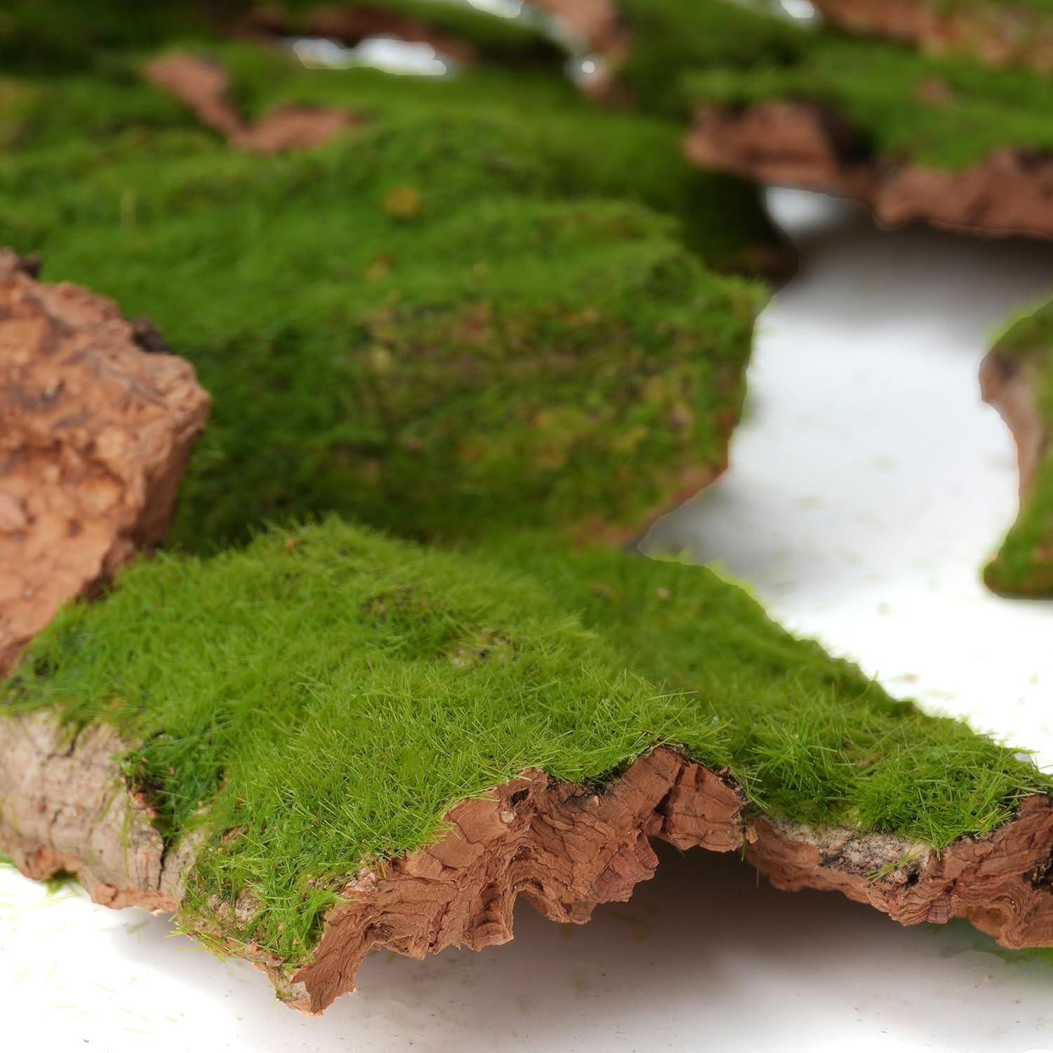 Corteza Artificial con Musgo BYHER - 100g para Manualidades