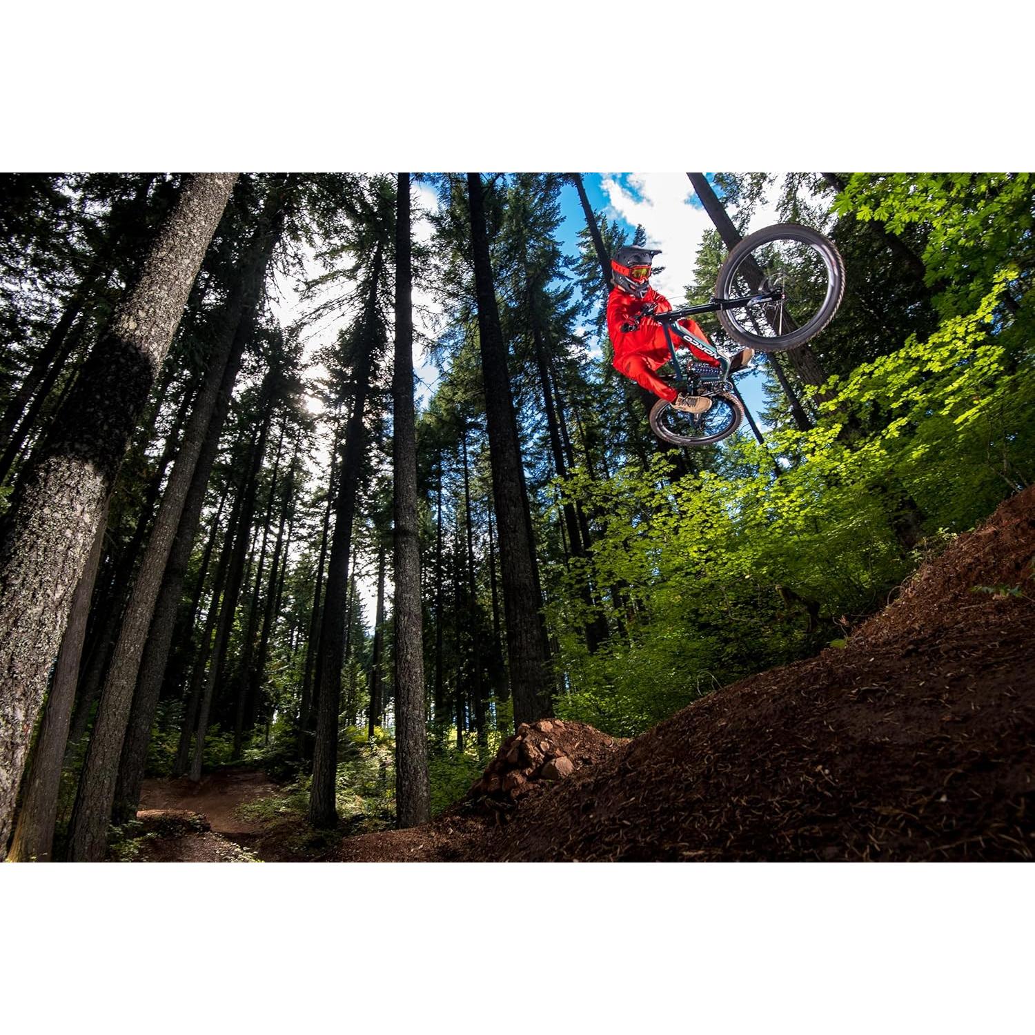 Gafas de Motocross Fly Racing Focus Adulto Rojo/Negro