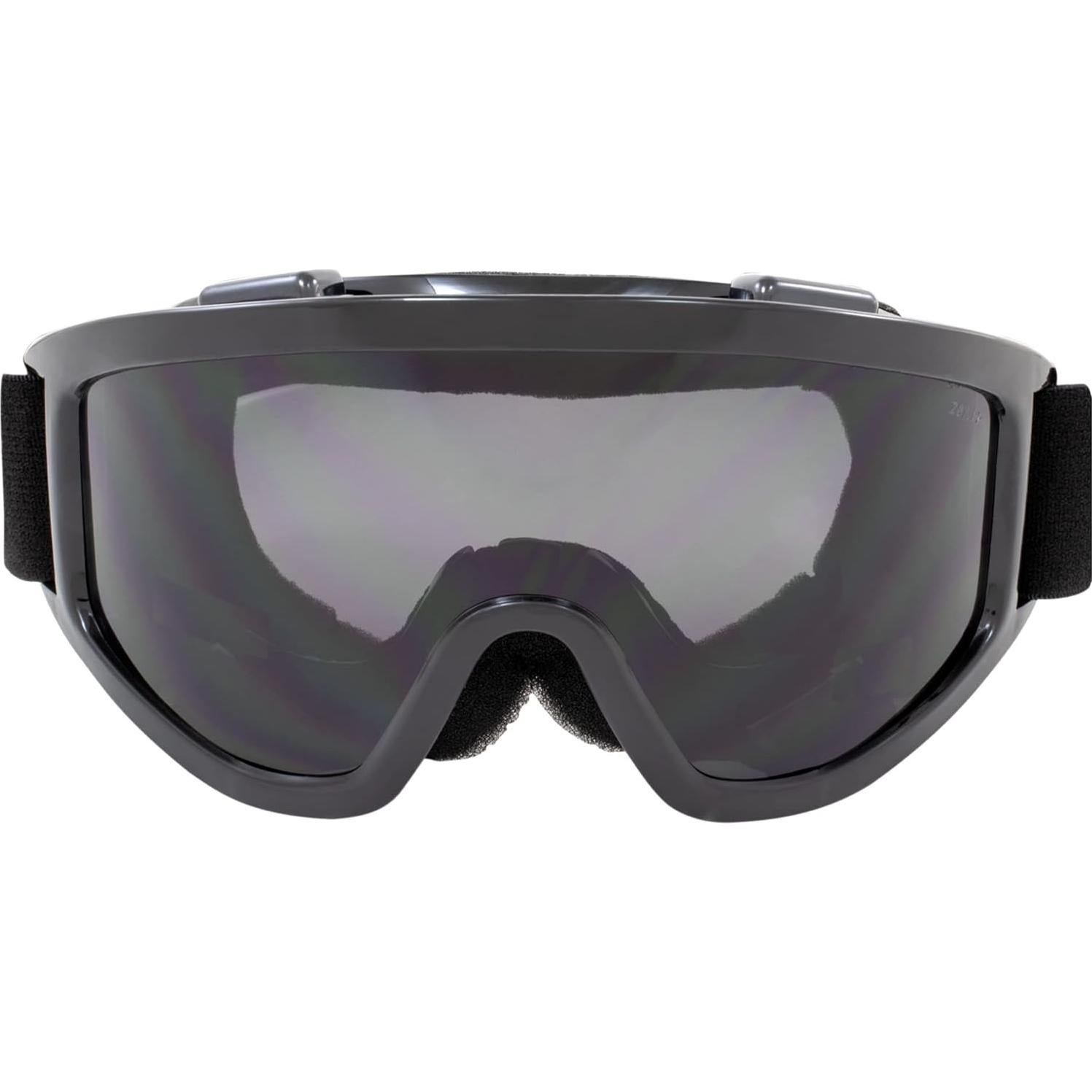Gafas de Motocicleta Birdz Eyewear Vulture Lentes Ahumadas