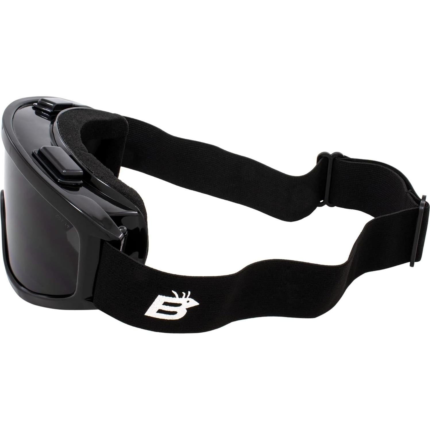 Gafas de Motocicleta Birdz Eyewear Vulture Lentes Ahumadas