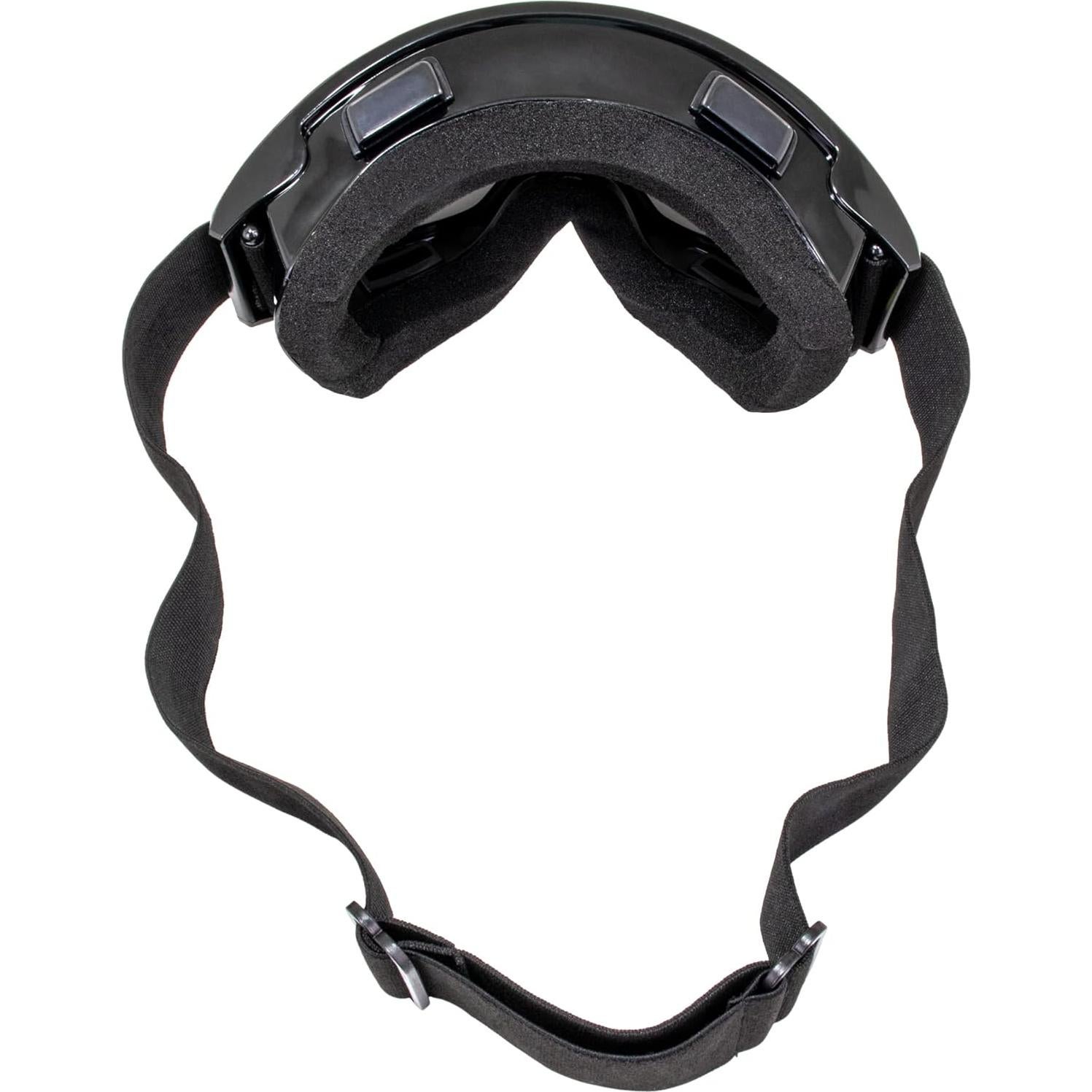 Gafas de Motocicleta Birdz Eyewear Vulture Lentes Ahumadas