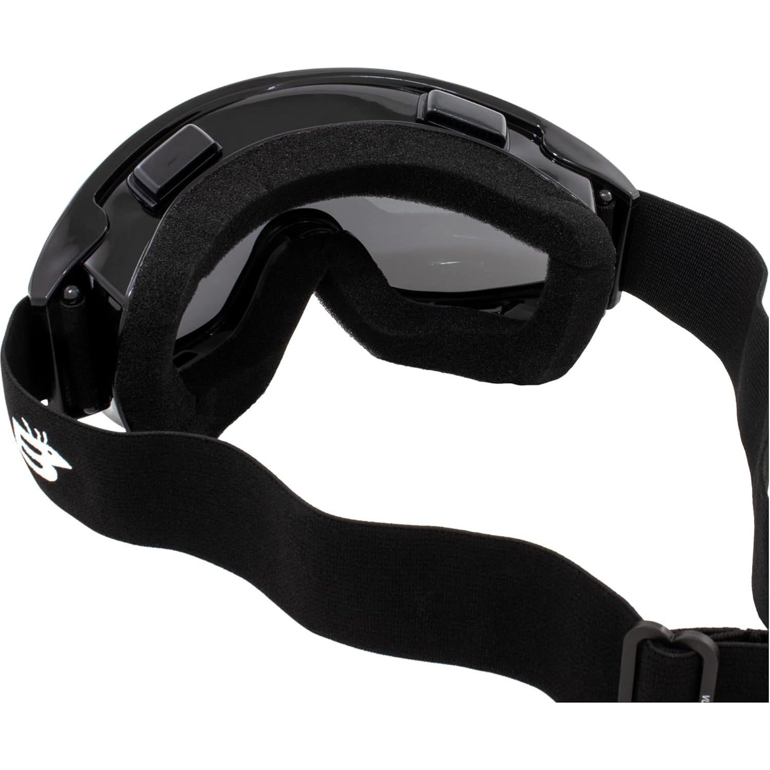 Gafas de Motocicleta Birdz Eyewear Vulture Lentes Ahumadas