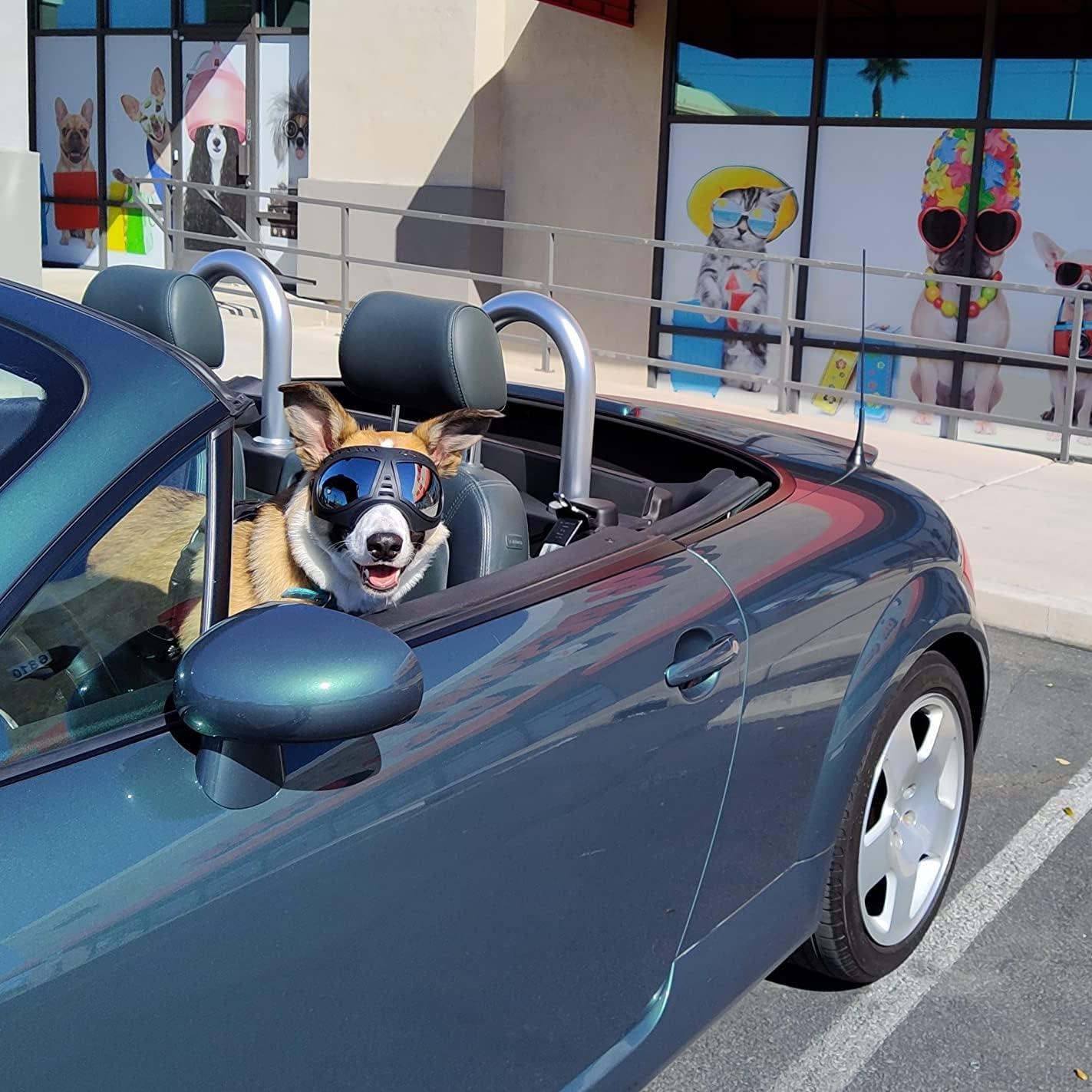 Gafas de sol para perros PETLESO UV400 - Protección ocular grande