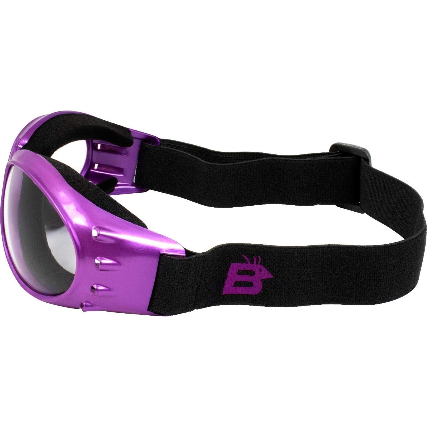 Gafas de Motocicleta Birdz Eyewear Eagle 2 Pares para Mujeres