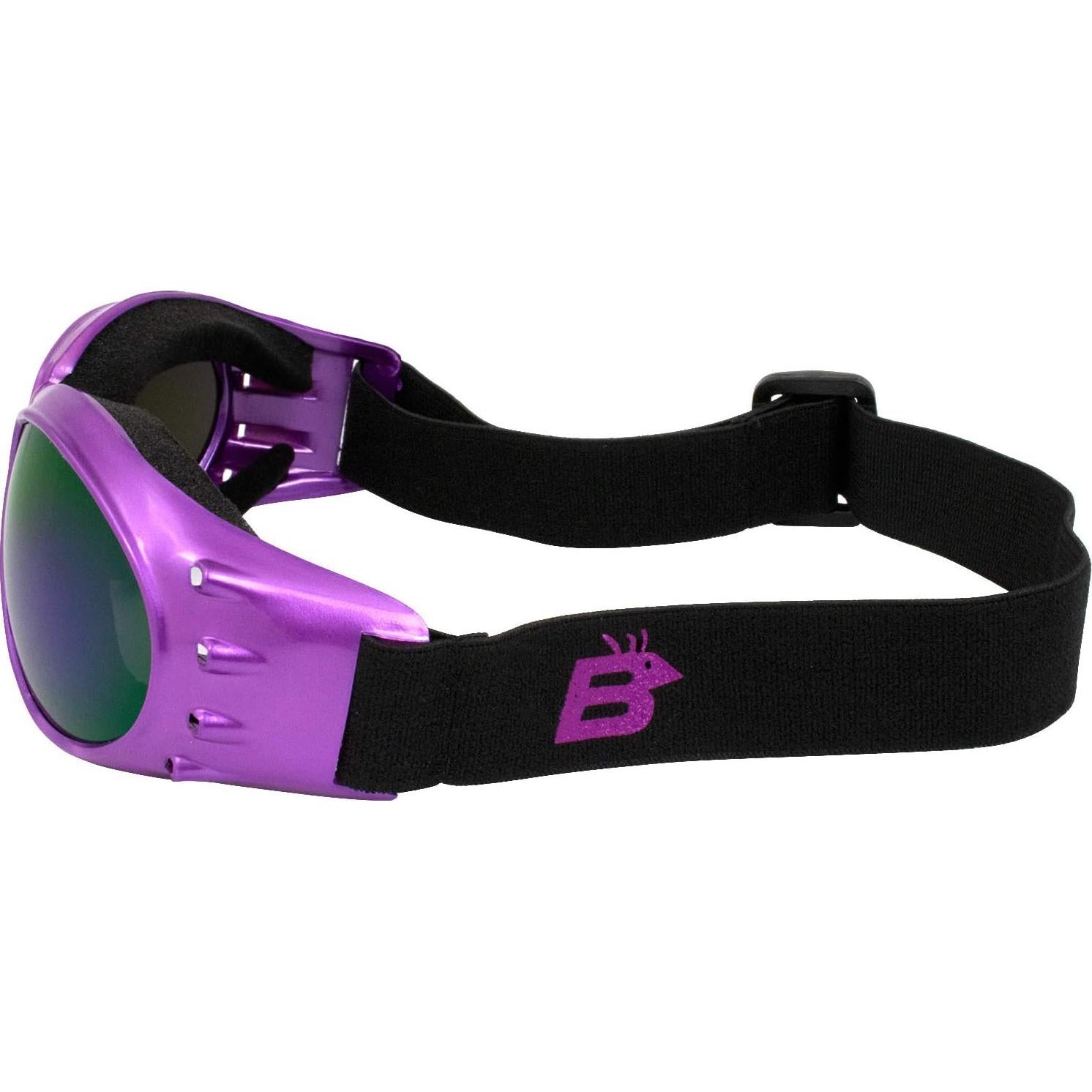 Gafas de Motocicleta Birdz Eyewear Eagle 2 Pares para Mujeres