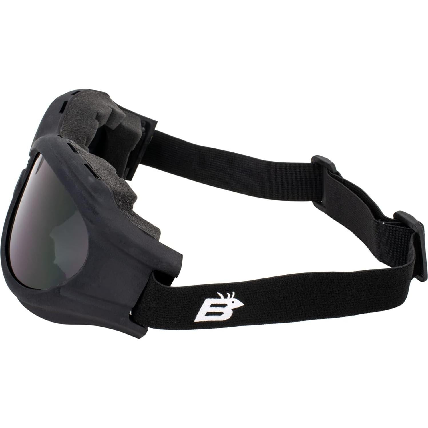 Gafas de Motocicleta Birdz Eyewear Buzzard Kit Anti-Niebla