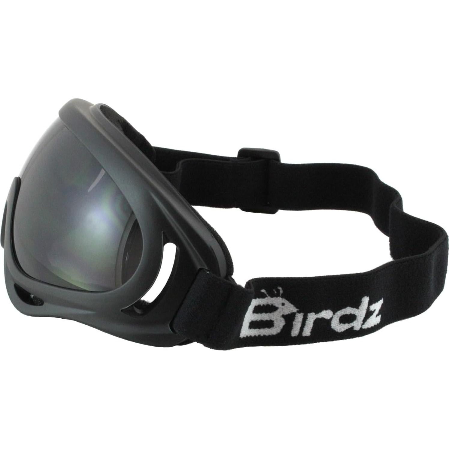 Gafas de Motocicleta Birdz Eyewear FlyCatcher Antivaho 2 Pares