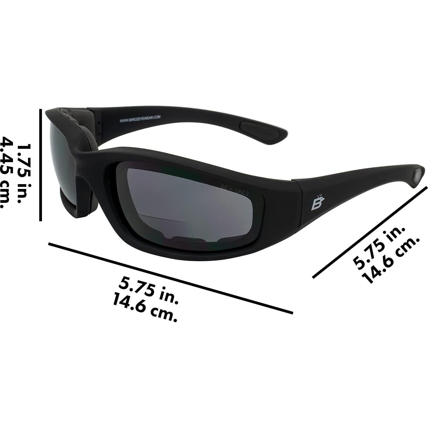 Gafas de Seguridad Bifocales Birdz Oriole 2.0 Aumento con Bolsa