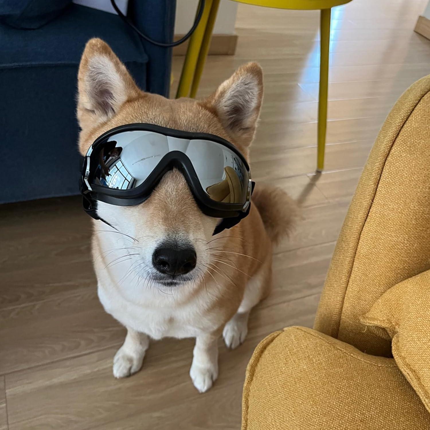 Gafas de sol para perros grandes Muejjur - Protección UV, a prueba de viento y agua