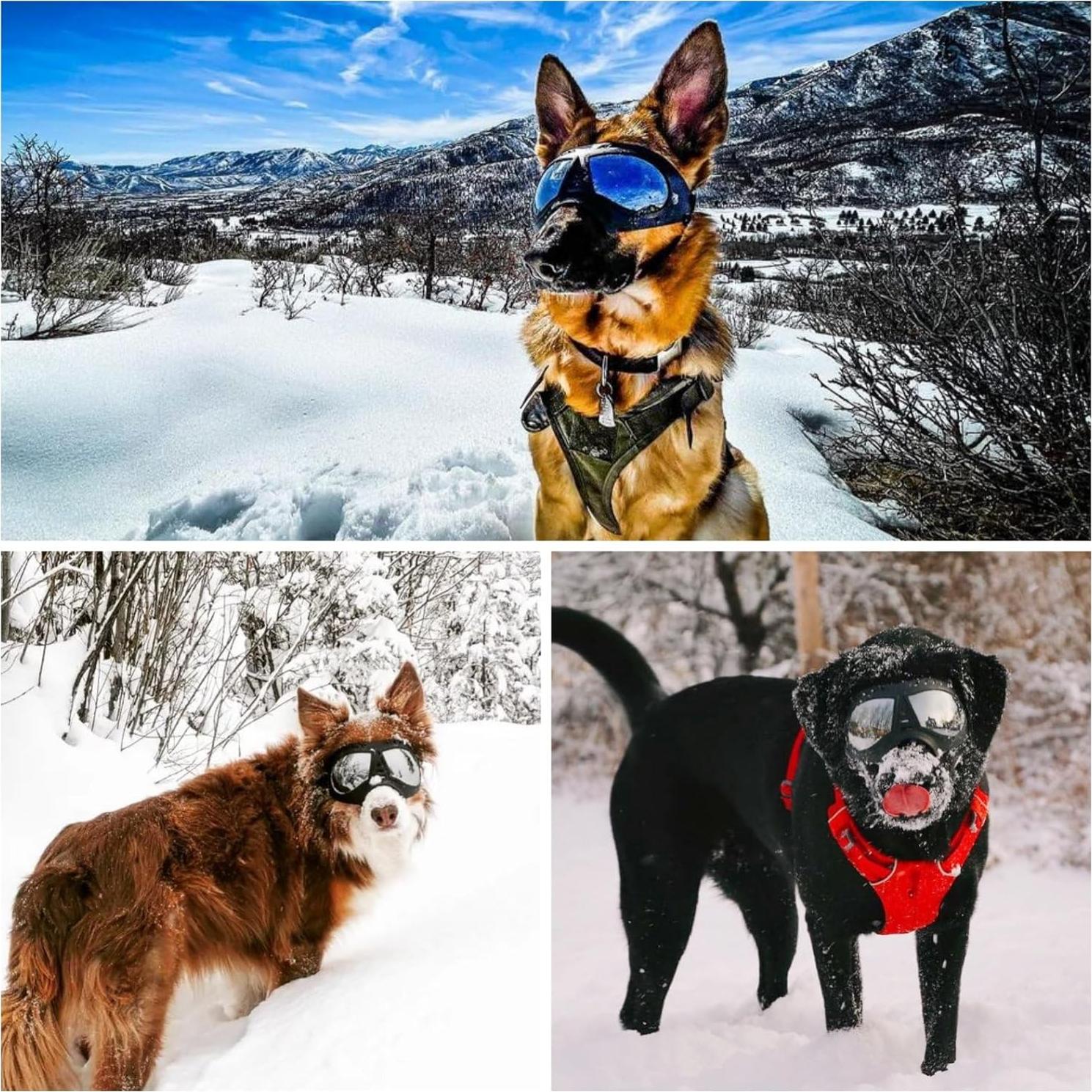 Gafas de Sol para Perros Namsan Grandes UV400 Ajustables