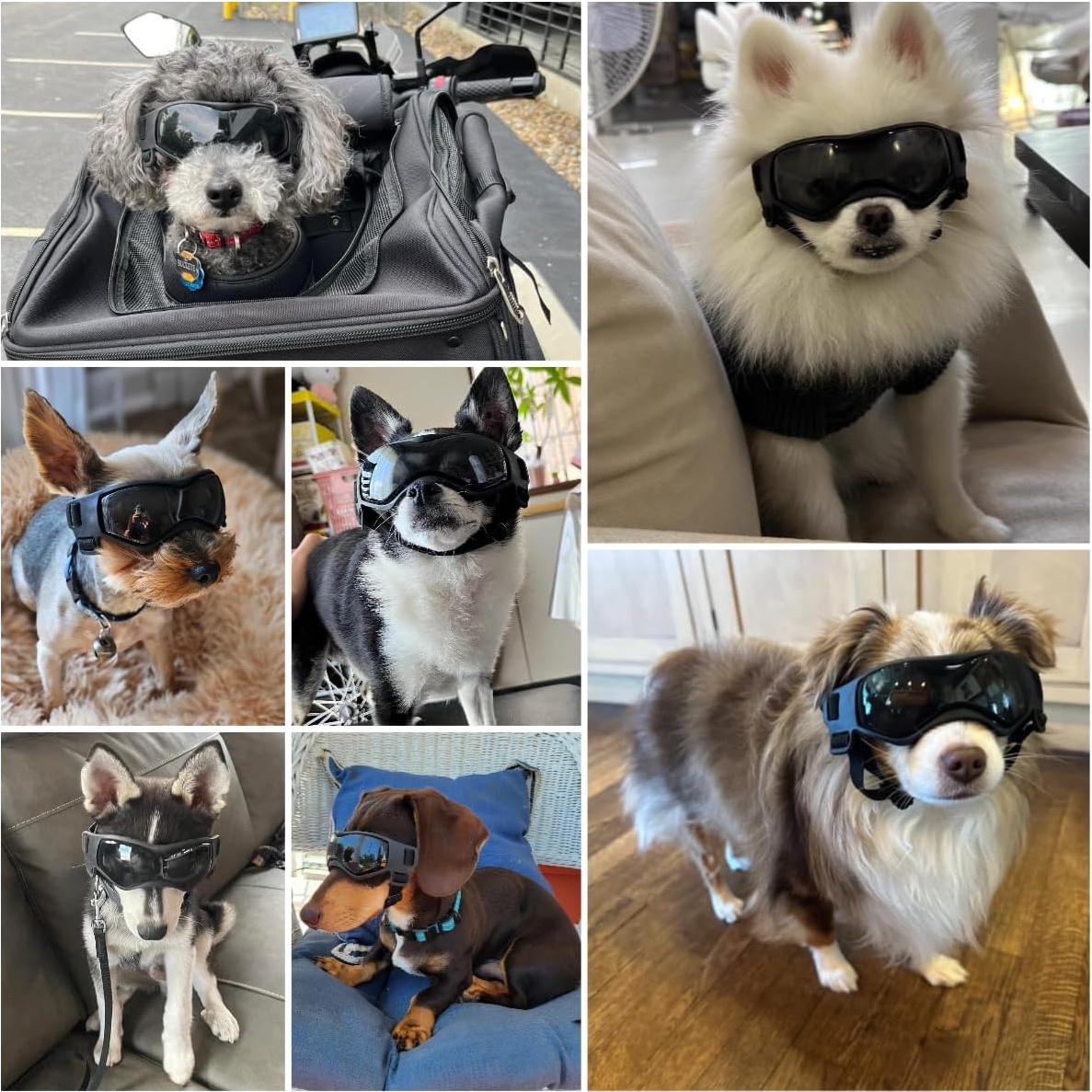 Gafas de sol para perro pequeño BillionChains UV Protección