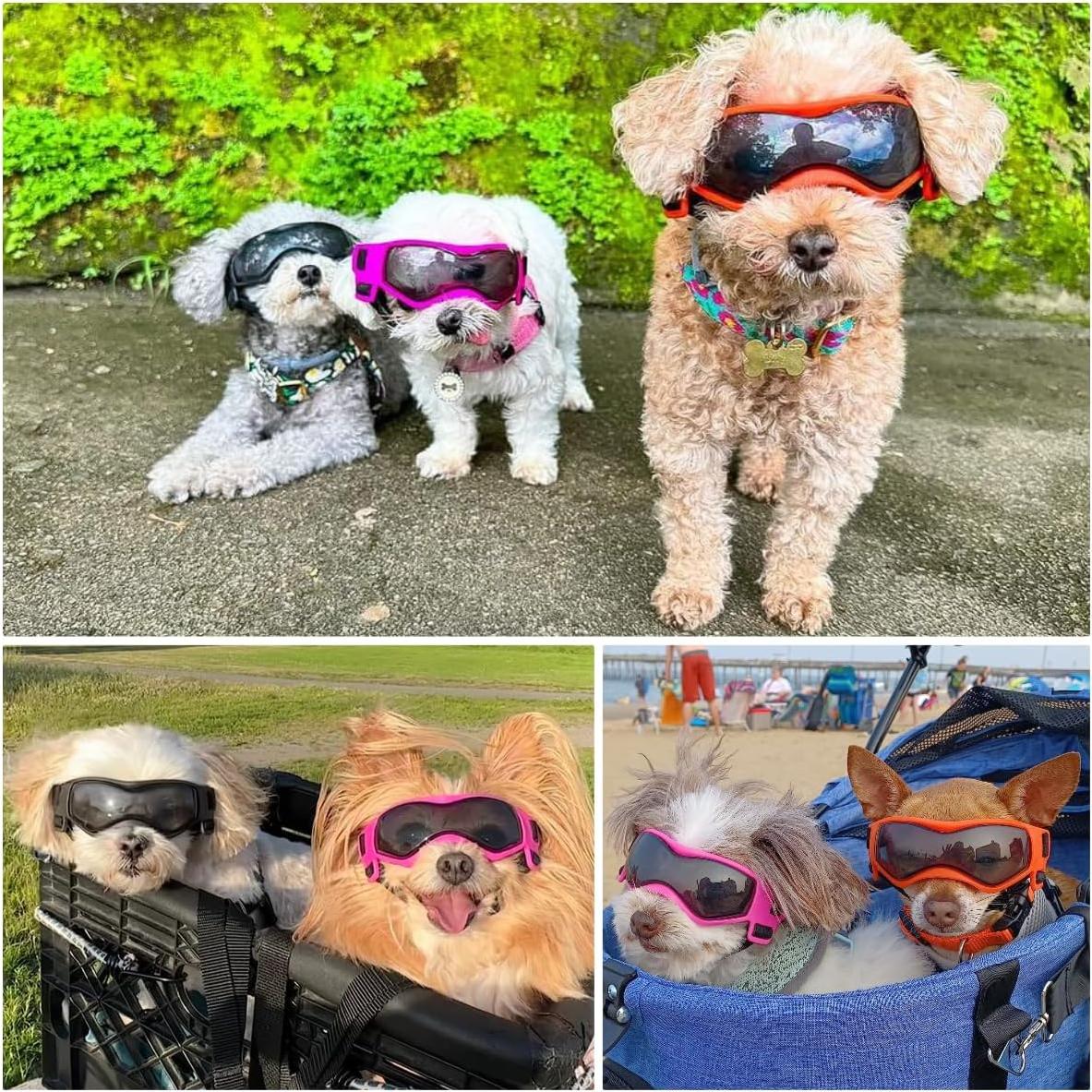 Gafas de sol para perro pequeño BillionChains UV Protección