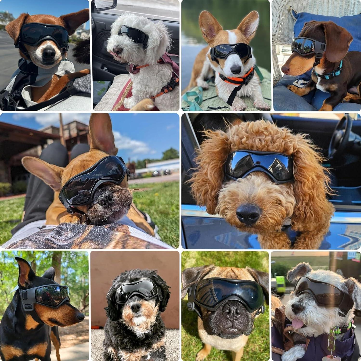 Gafas de sol para perros PETLESO Medianas UV Protección Negra